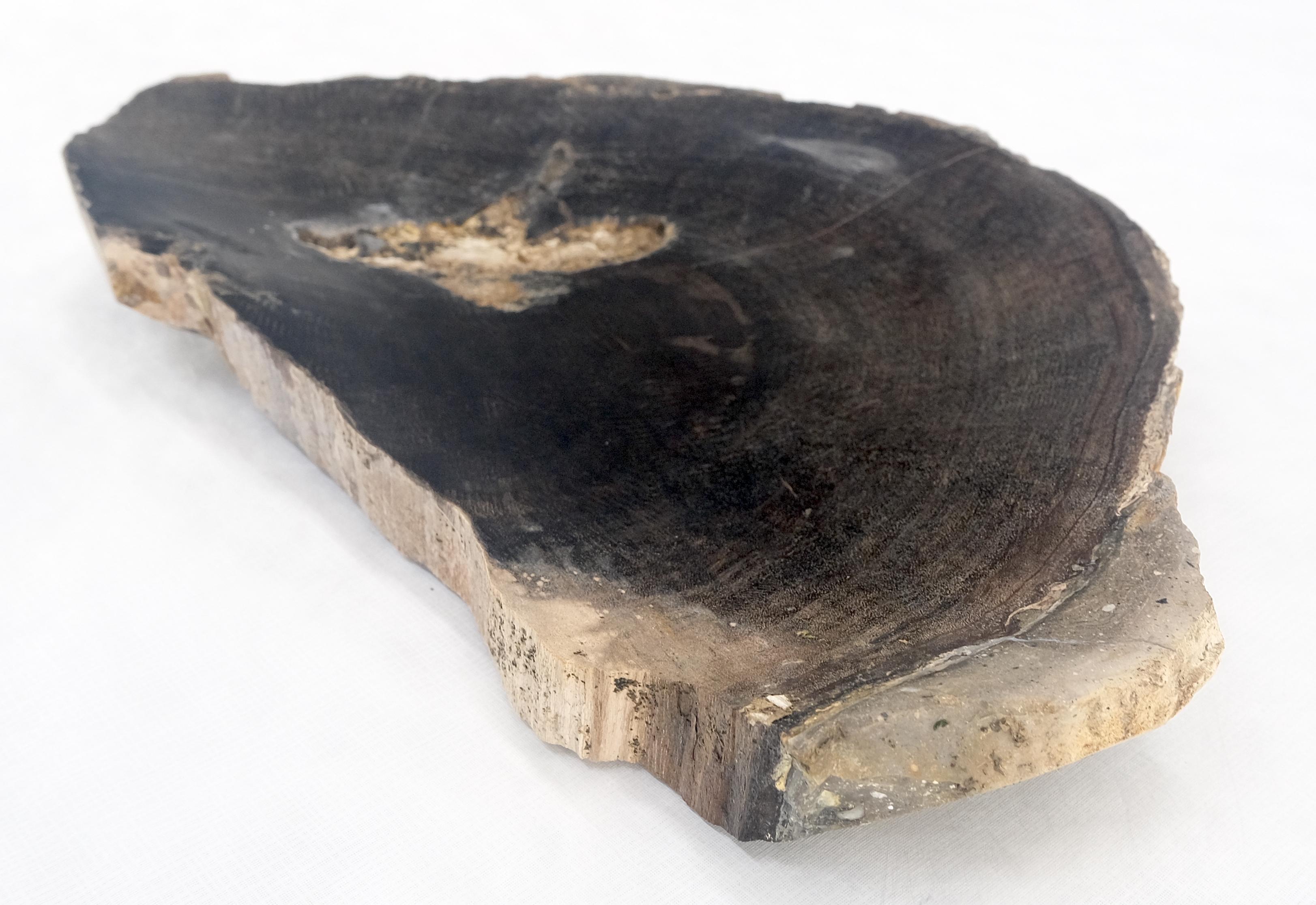 Organic Half Runde Form Schwarz & Tan versteinertes Holz Tablett Schüssel Teller Aschenbecher (Indonesisch) im Angebot