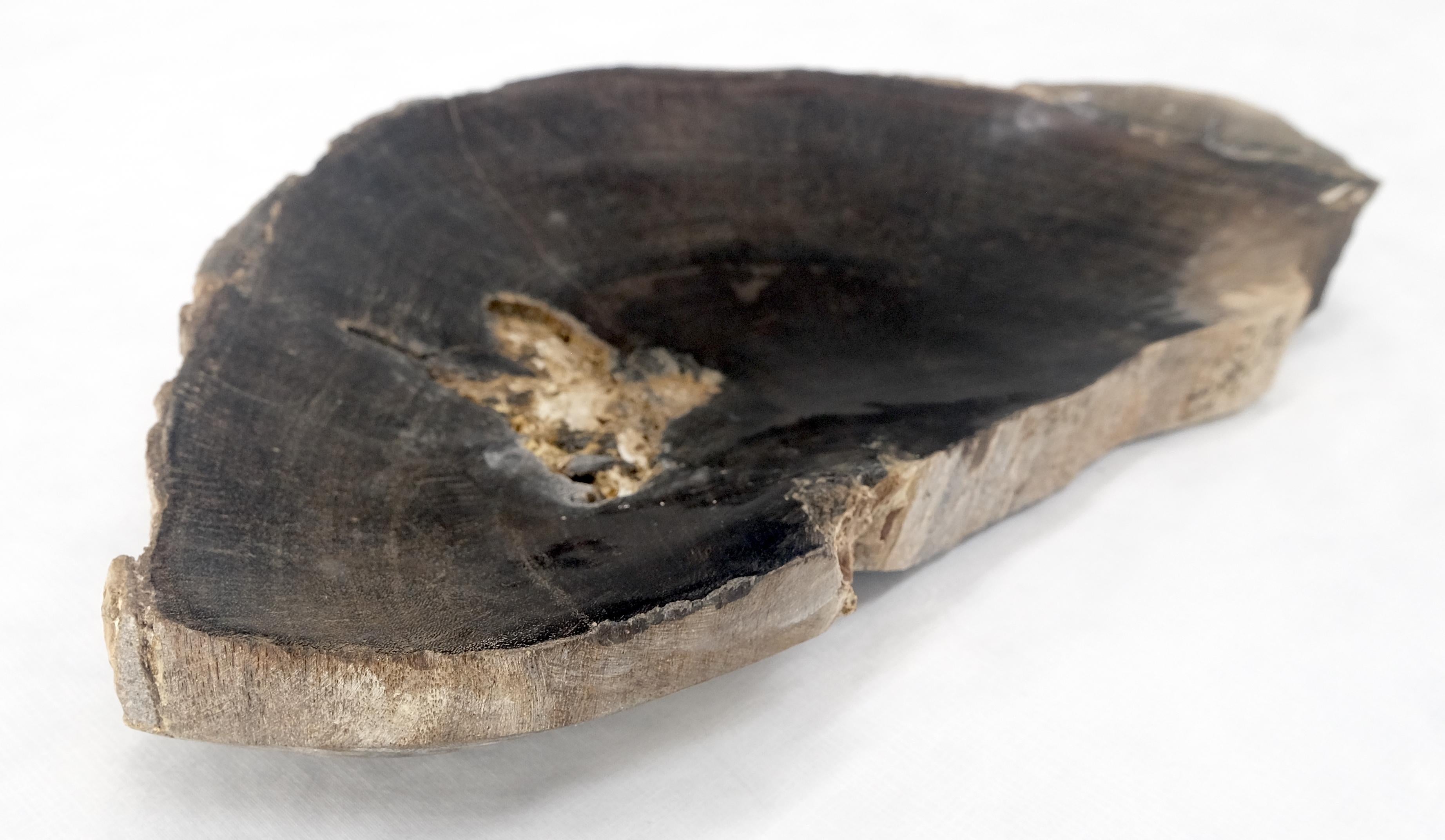 Organic Half Runde Form Schwarz & Tan versteinertes Holz Tablett Schüssel Teller Aschenbecher im Zustand „Hervorragend“ im Angebot in Rockaway, NJ