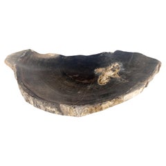 Vassoio organico di forma rotonda in legno pietrificato nero e marrone, ciotola, piatto e posacenere