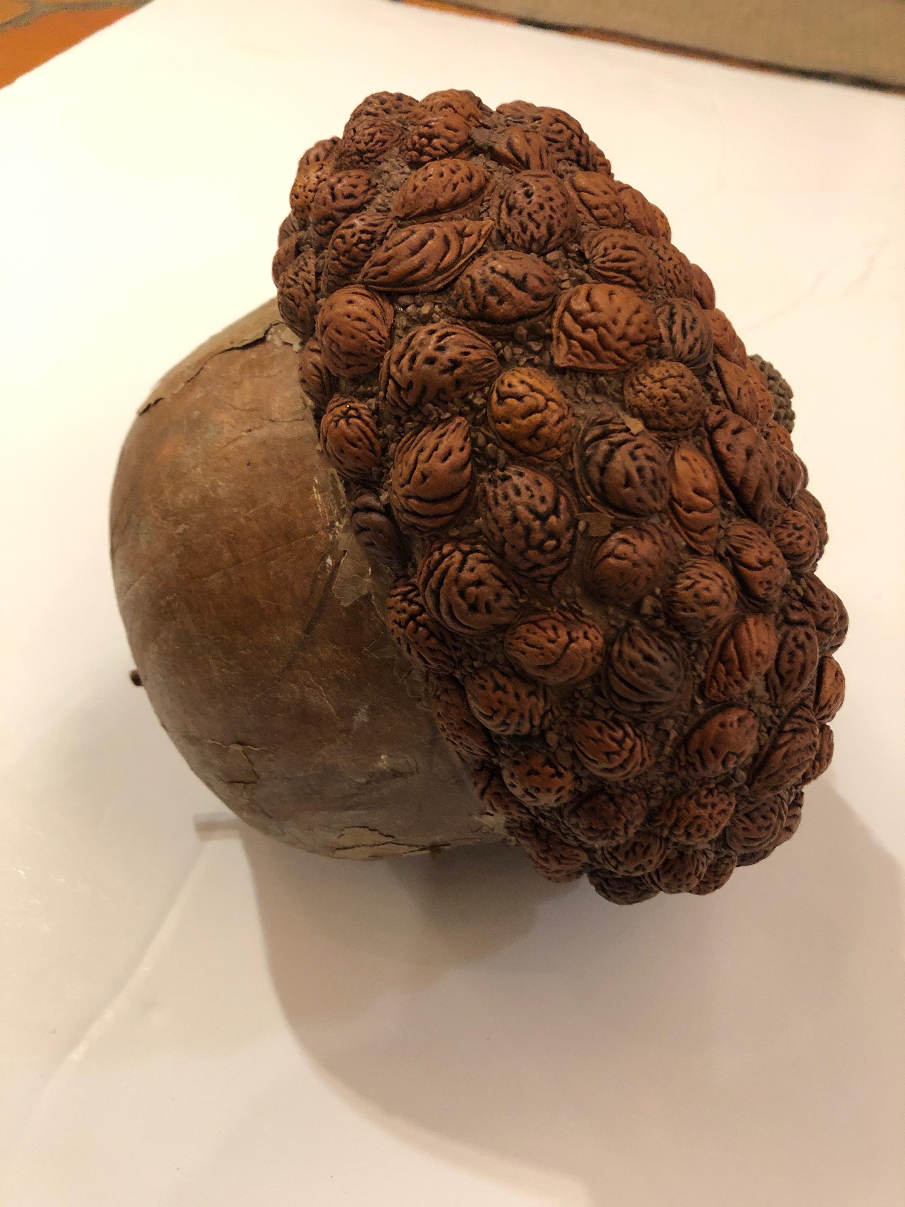 Mid-20th Century Organic Handmade Acorn Sculpture from Organic Material