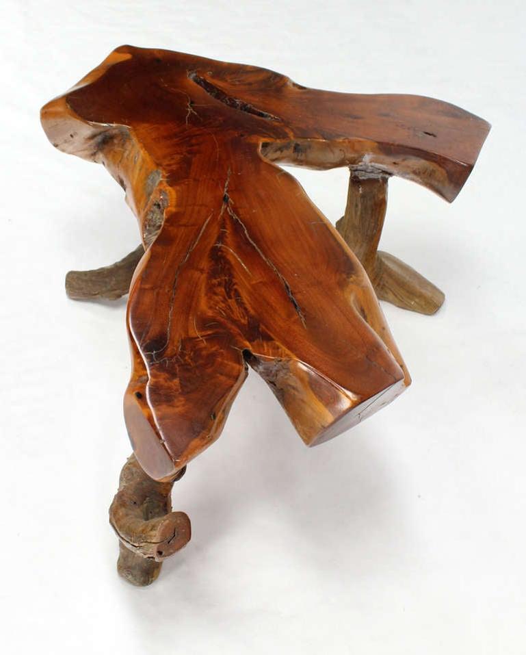 Lacquered Organic Heavy V Shape Walnut Slab Top Driftwood Base Legs Coffee Table MINT! For Sale