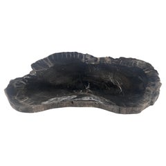 Vassoio organico a forma di rene in legno pietrificato, nero e marrone, piatto da portata posacenere