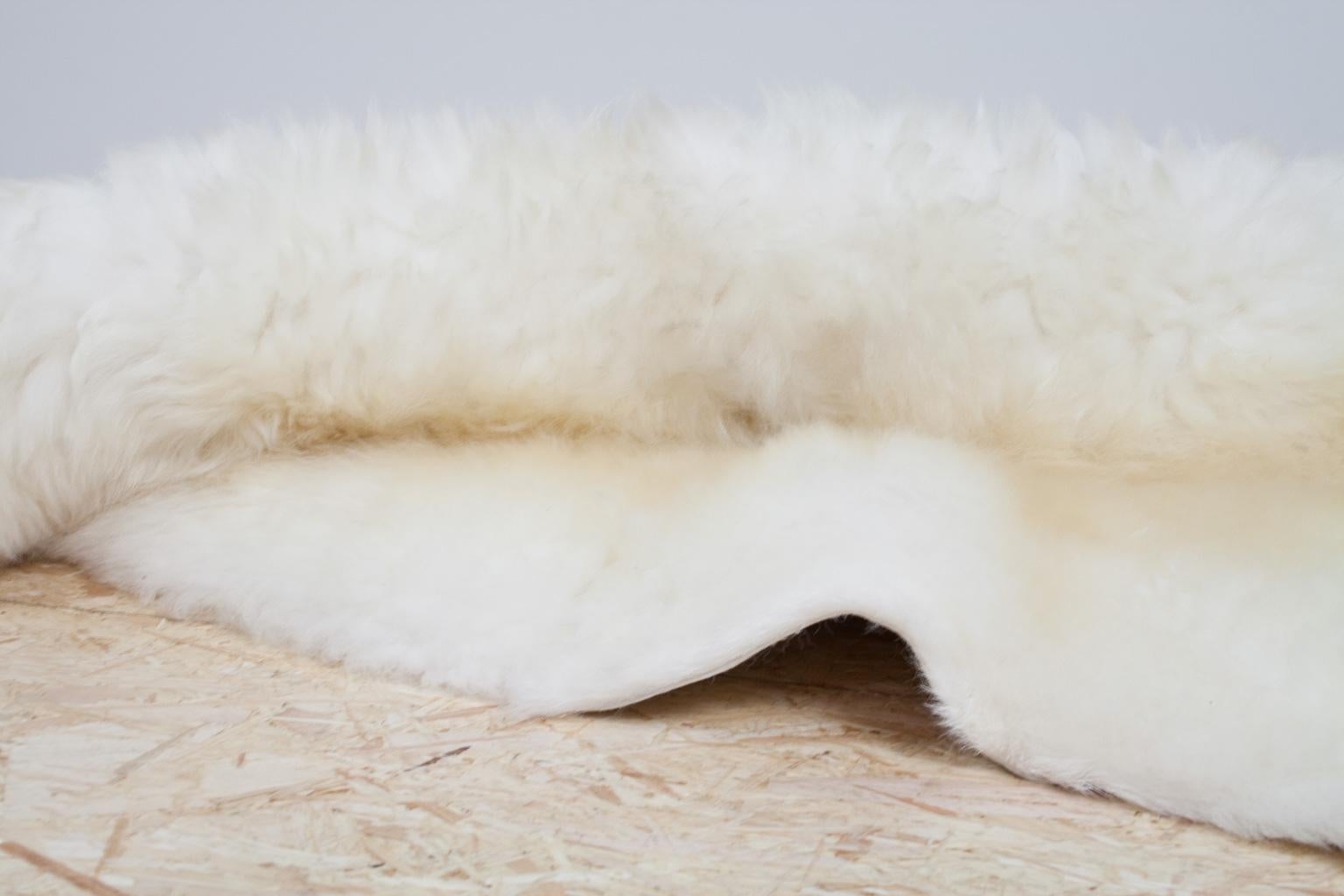 Organic Large Modern Natural White Sheepskin Rug or Hide, Dutch Cattle, 2018 In New Condition In Beek en Donk, NL