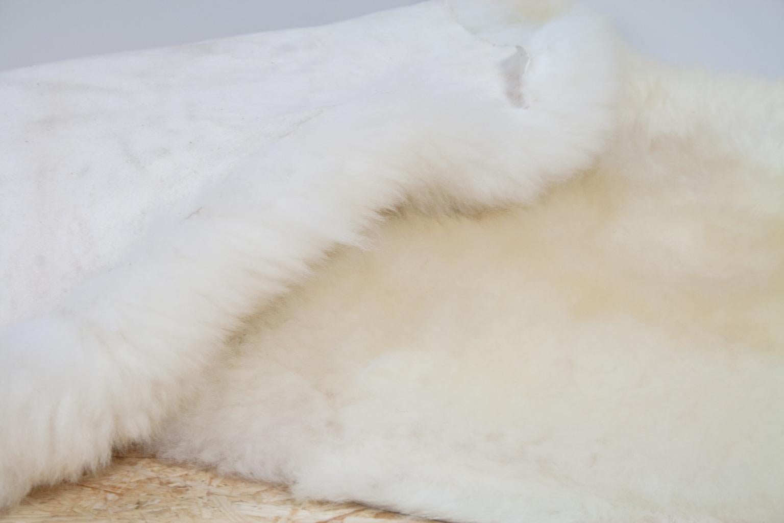 Contemporary Organic Large Modern Natural White Sheepskin Rug or Hide, Dutch Cattle, 2018