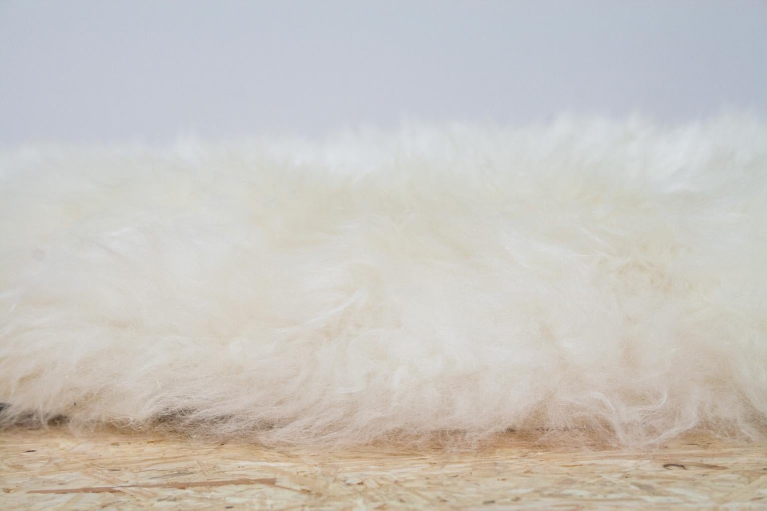 Organic Large Modern Natural White Sheepskin Rug or Hide, Dutch Cattle, 2018 1