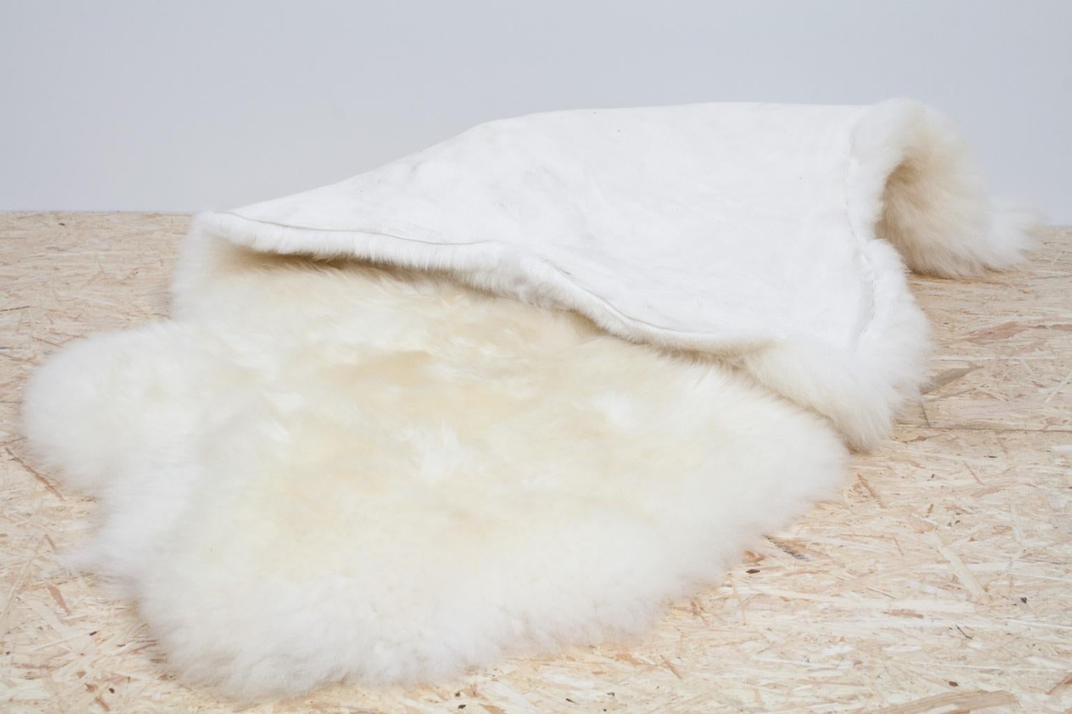Organic Large Modern Natural White Sheepskin Rug or Hide, Dutch Cattle, 2018 2