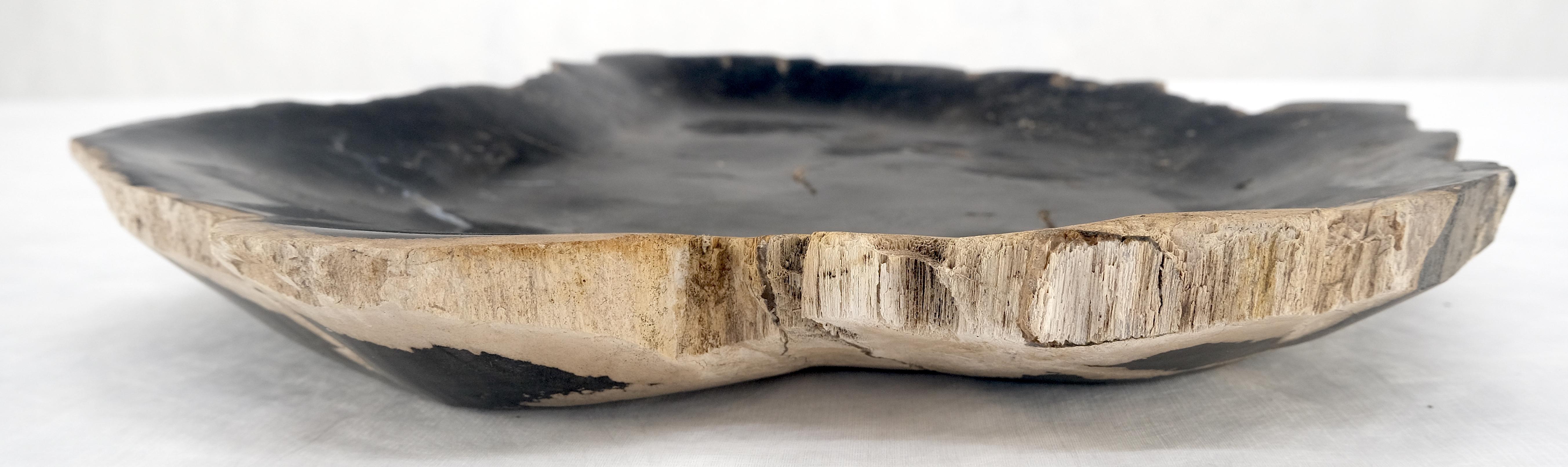 Organic Leaf Shape Black & Tan Petrified Wood Tray Bowl Dish Plate Ashtray For Sale 4