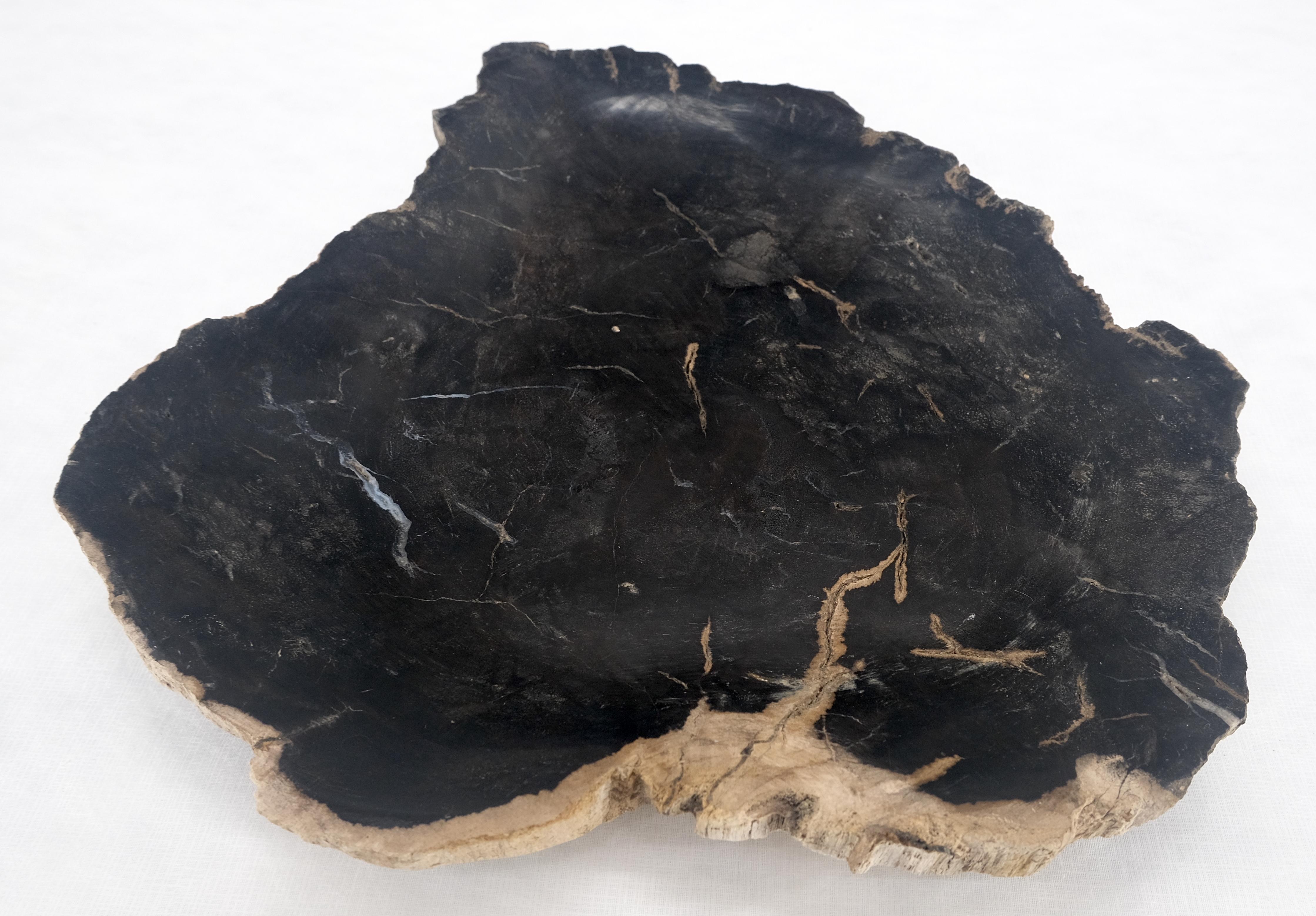 Organic Leaf Shape Black & Tan Petrified Wood Tray Bowl Dish Plate Ashtray For Sale 5