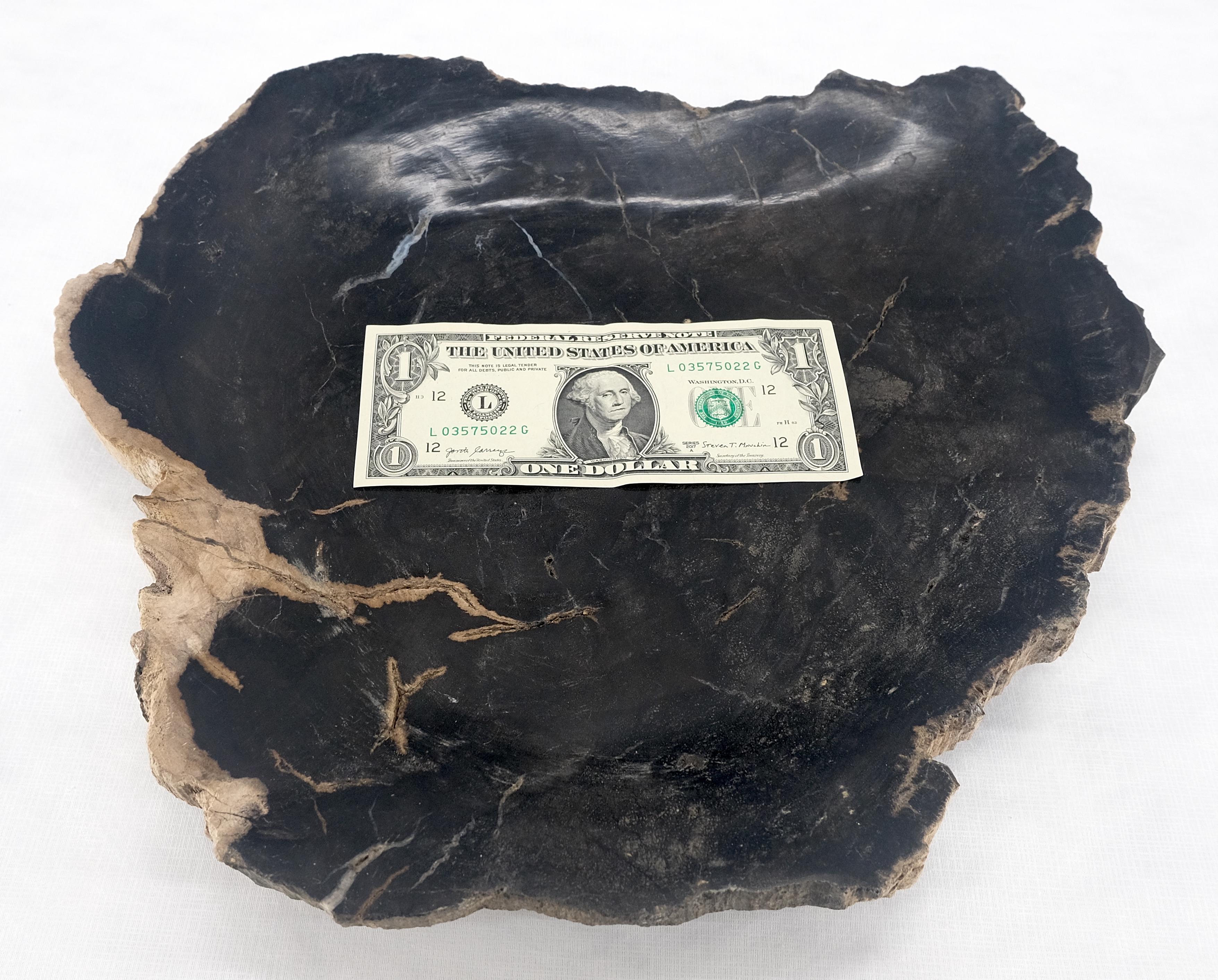 Organic Leaf Shape Black & Tan Petrified Wood Tray Bowl Dish Plate Ashtray For Sale 6