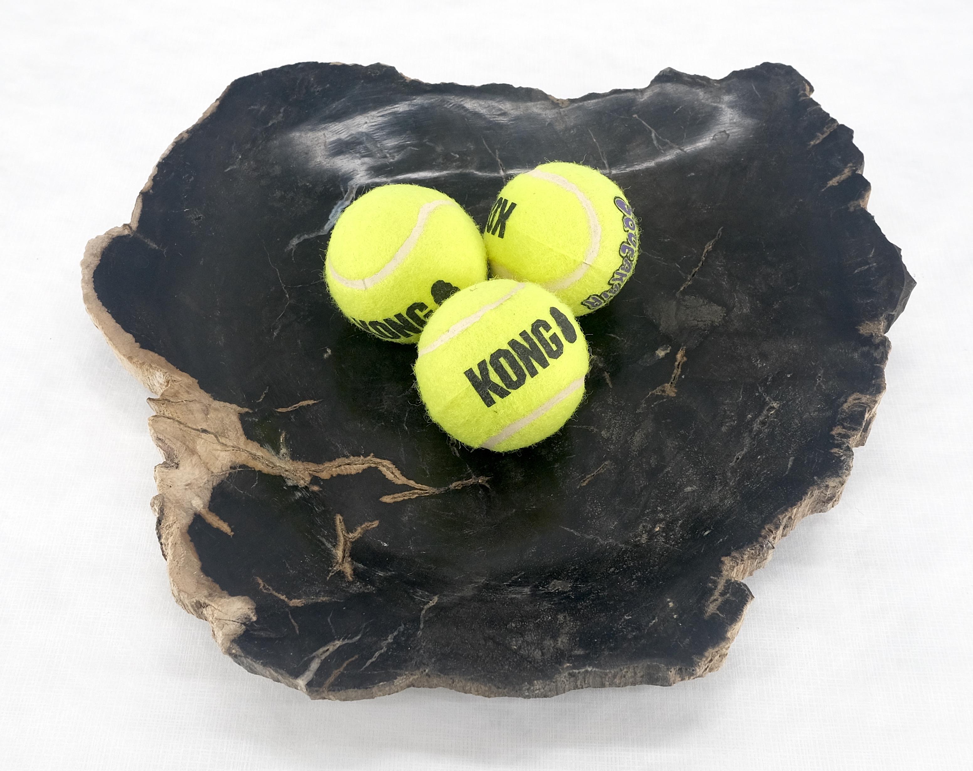 Organic Leaf Shape Black & Tan Petrified Wood Tray Bowl Dish Plate Ashtray For Sale 1