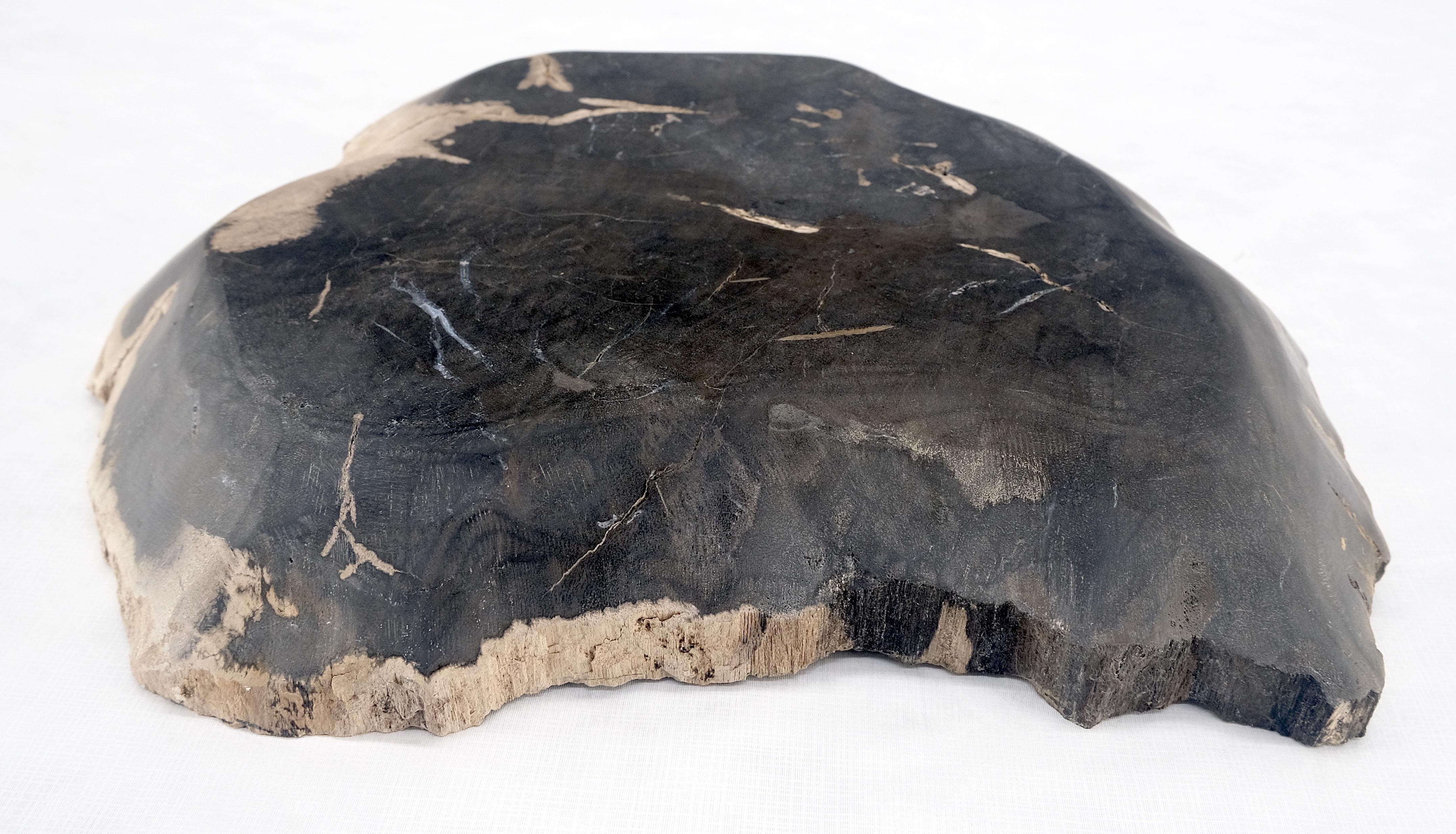 Organic Leaf Shape Black & Tan Petrified Wood Tray Bowl Dish Plate Ashtray For Sale 2