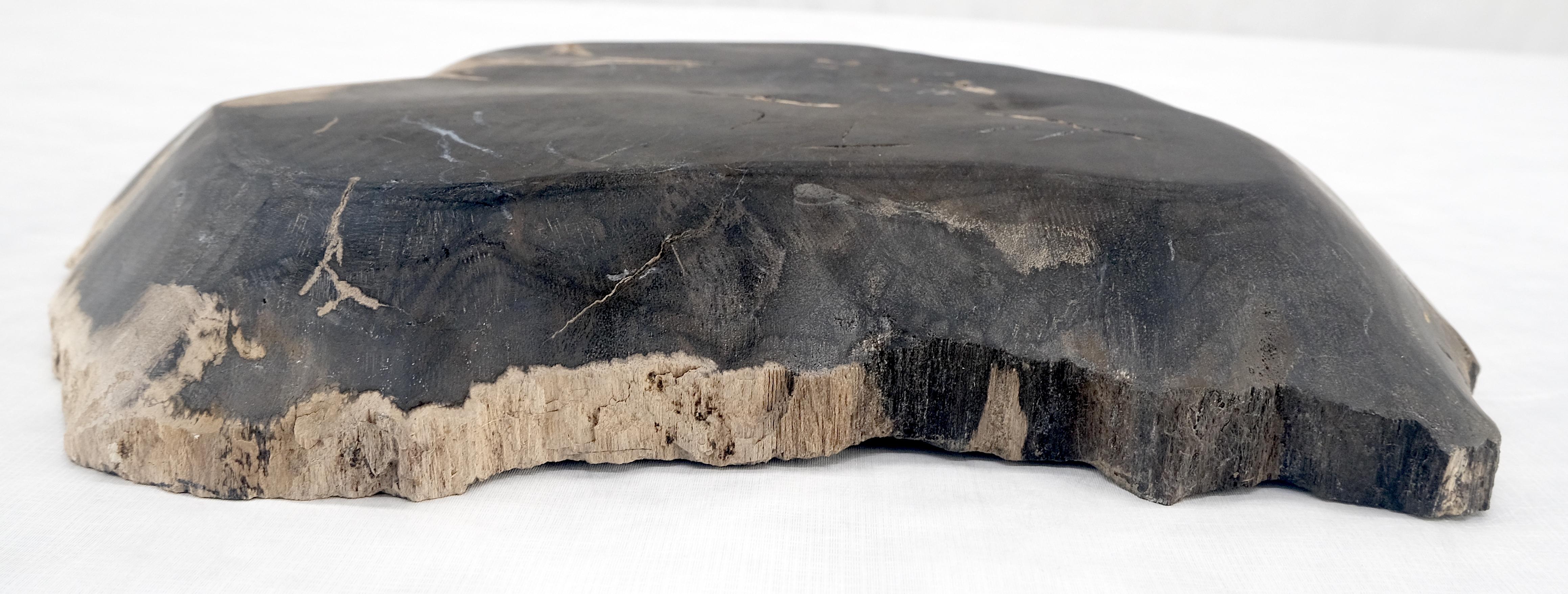 Organic Leaf Shape Black & Tan Petrified Wood Tray Bowl Dish Plate Ashtray For Sale 3