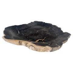 Vassoio organico a forma di foglia in legno pietrificato nero e marrone, ciotola, piatto e posacenere
