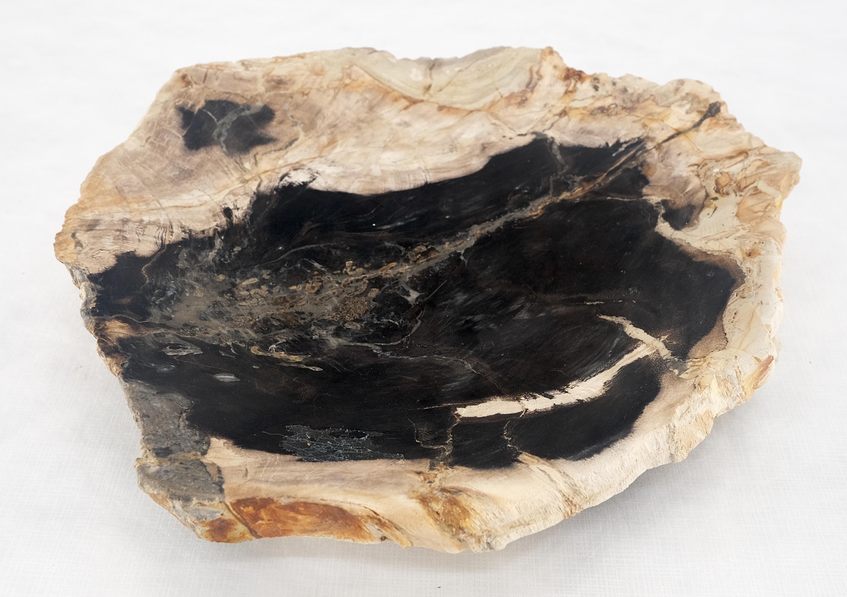 Organic Leaf Shape Black & Tan Petrified Wood Tray Bawl Dish Plate Ashtray MINT