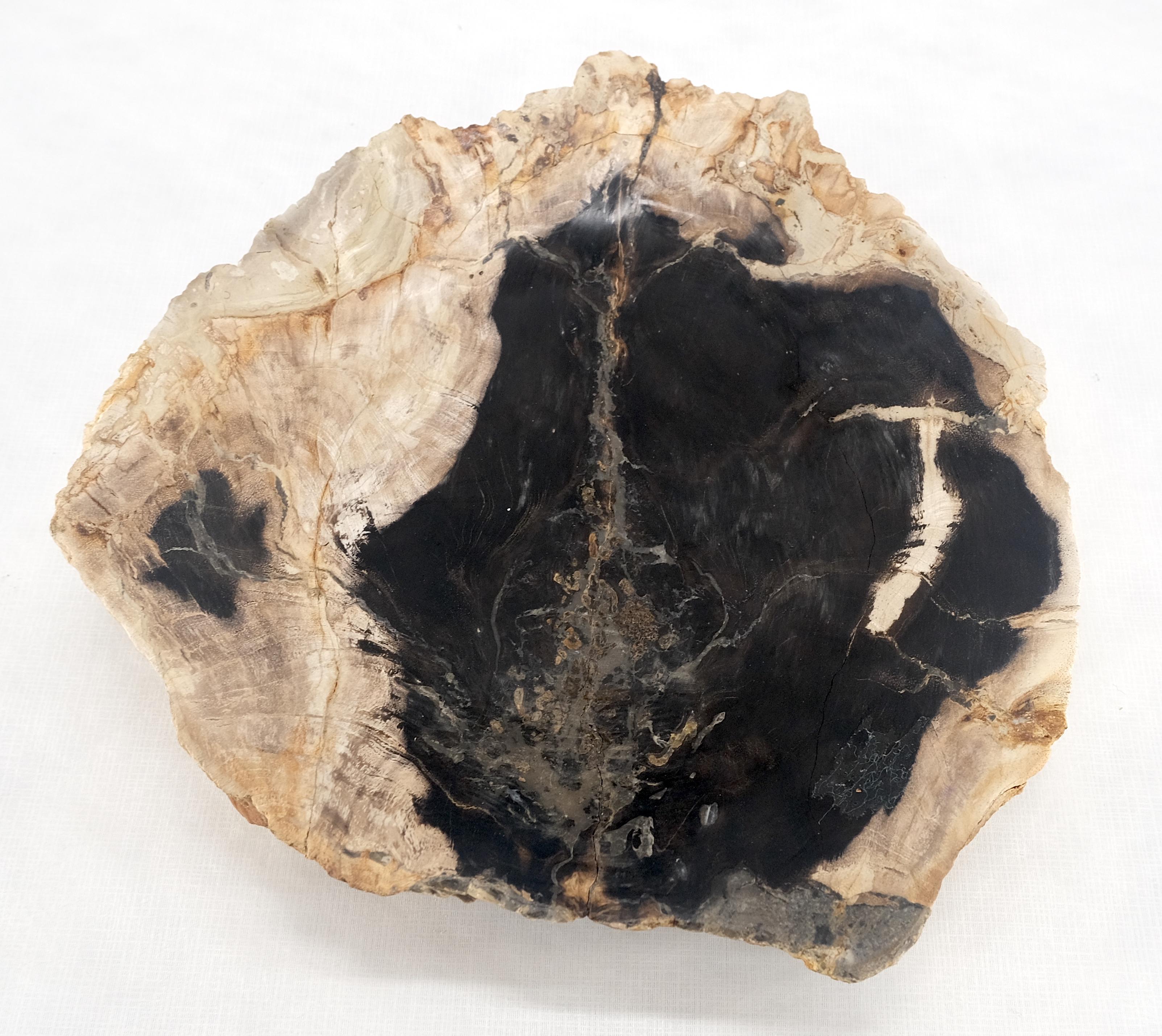 Organic Leaf Shape Black & Tan Petrified Wood Tray Bowl Dish Plate Ashtray MINT For Sale 1