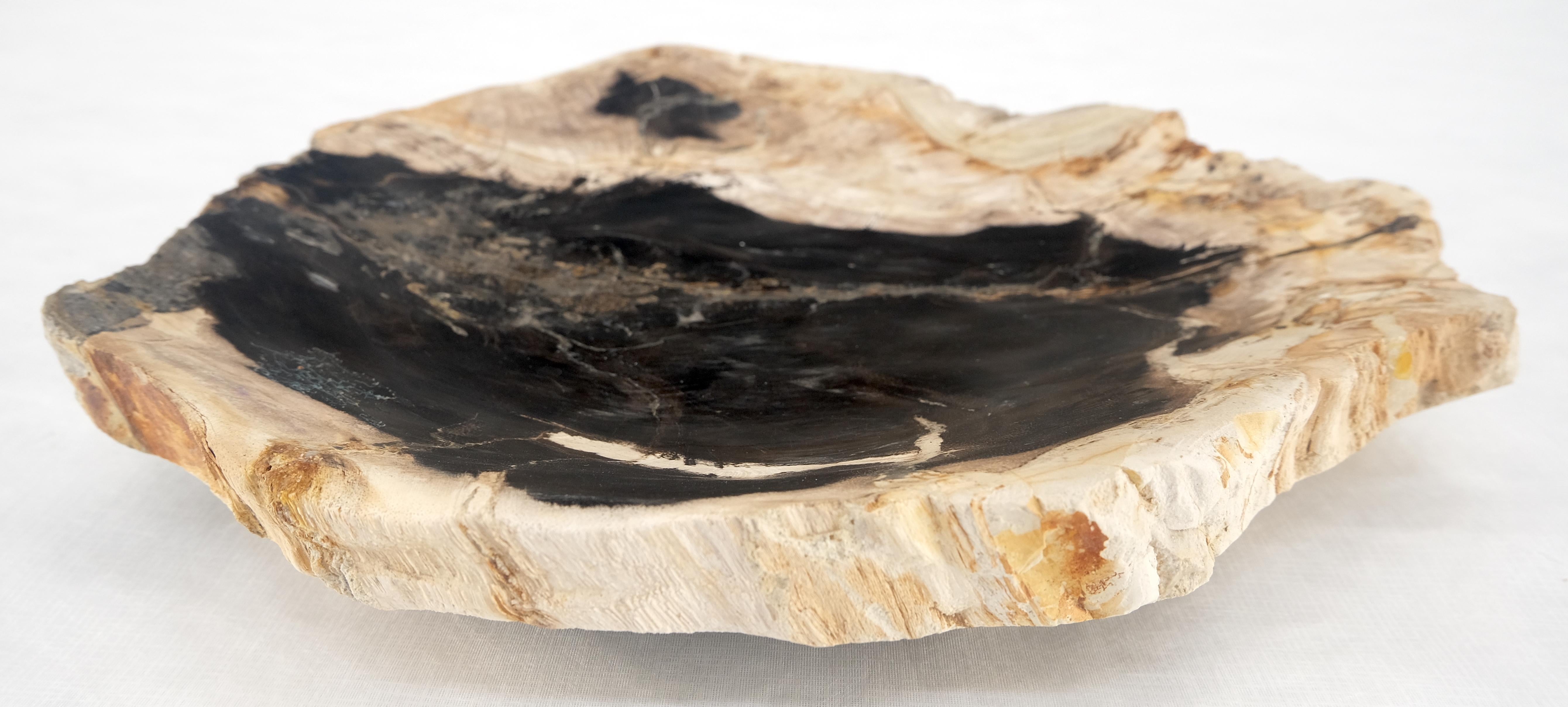 Organic Leaf Shape Black & Tan Petrified Wood Tray Bowl Dish Plate Ashtray MINT For Sale 2
