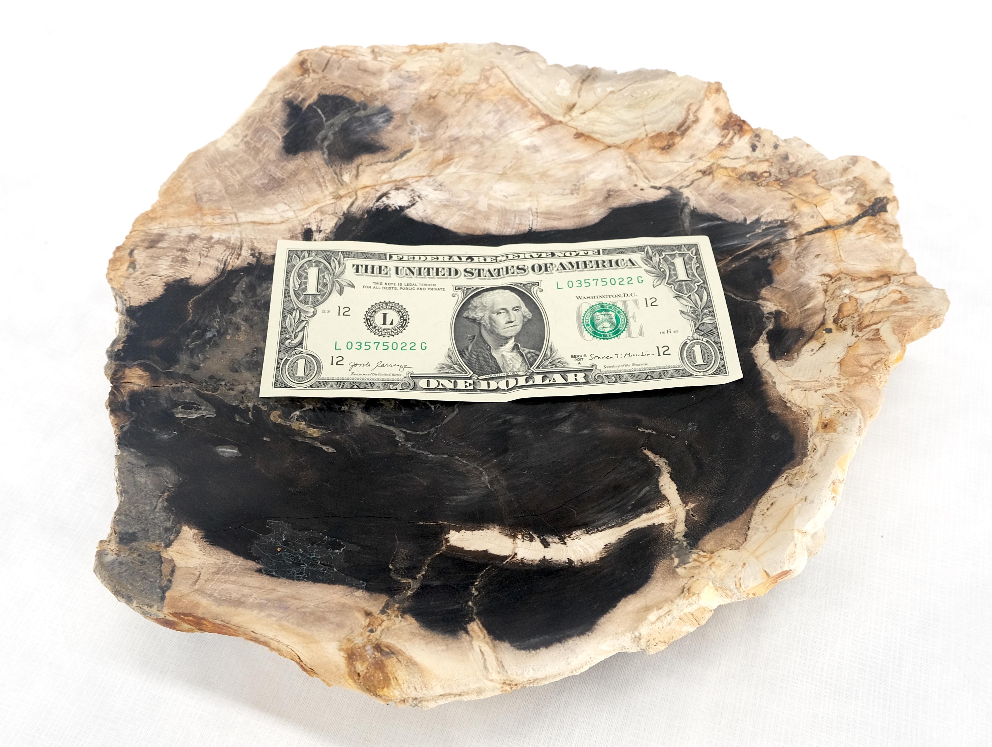 Organic Leaf Shape Black & Tan Petrified Wood Tray Bowl Dish Plate Ashtray MINT For Sale 3