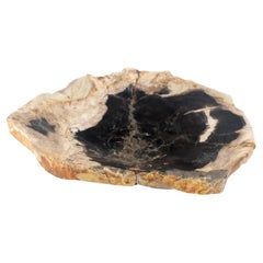 Organic Leaf Shape Black & Tan Versteinertes Holz Tablett Schale Teller Aschenbecher MINT