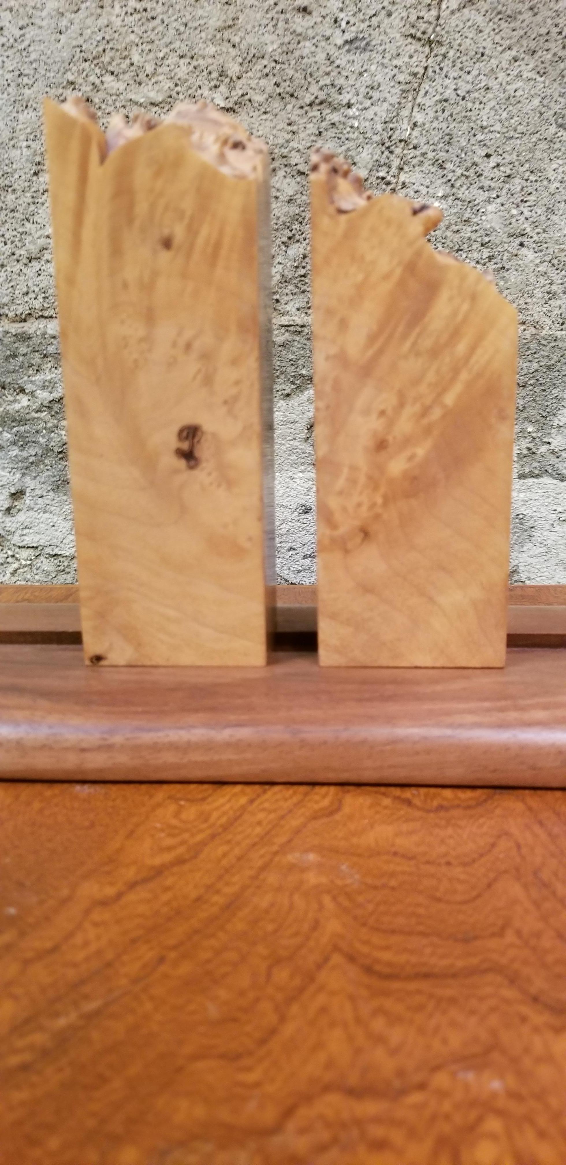 Organic Modern Organic Live Edge Bookends by Michael Elkan For Sale