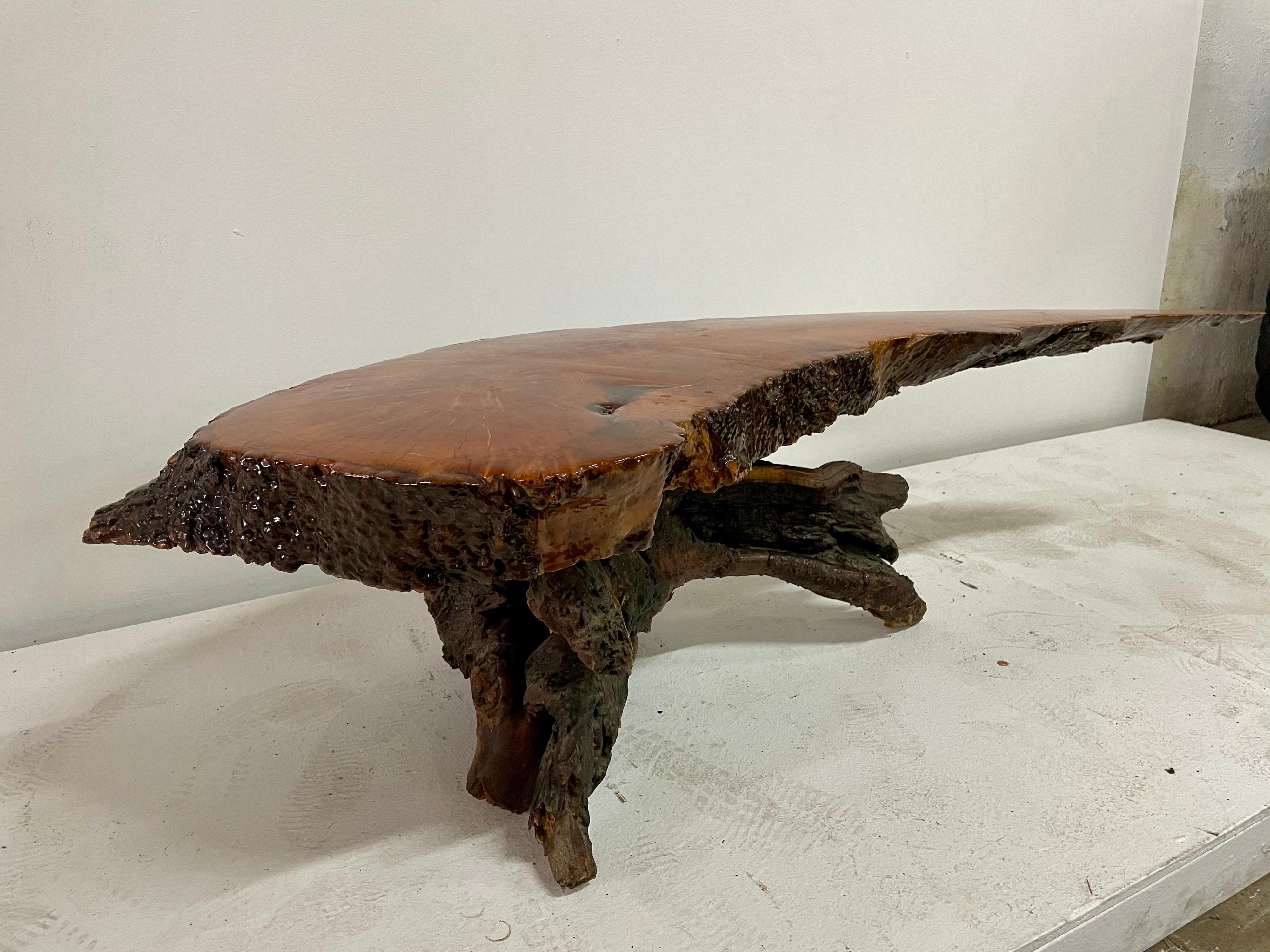 This all natural vintage cypress wood coffee table in lacquered top and natural finish root base. It is live edge and organic in style with an elongated tapering point. Very heavy and important.