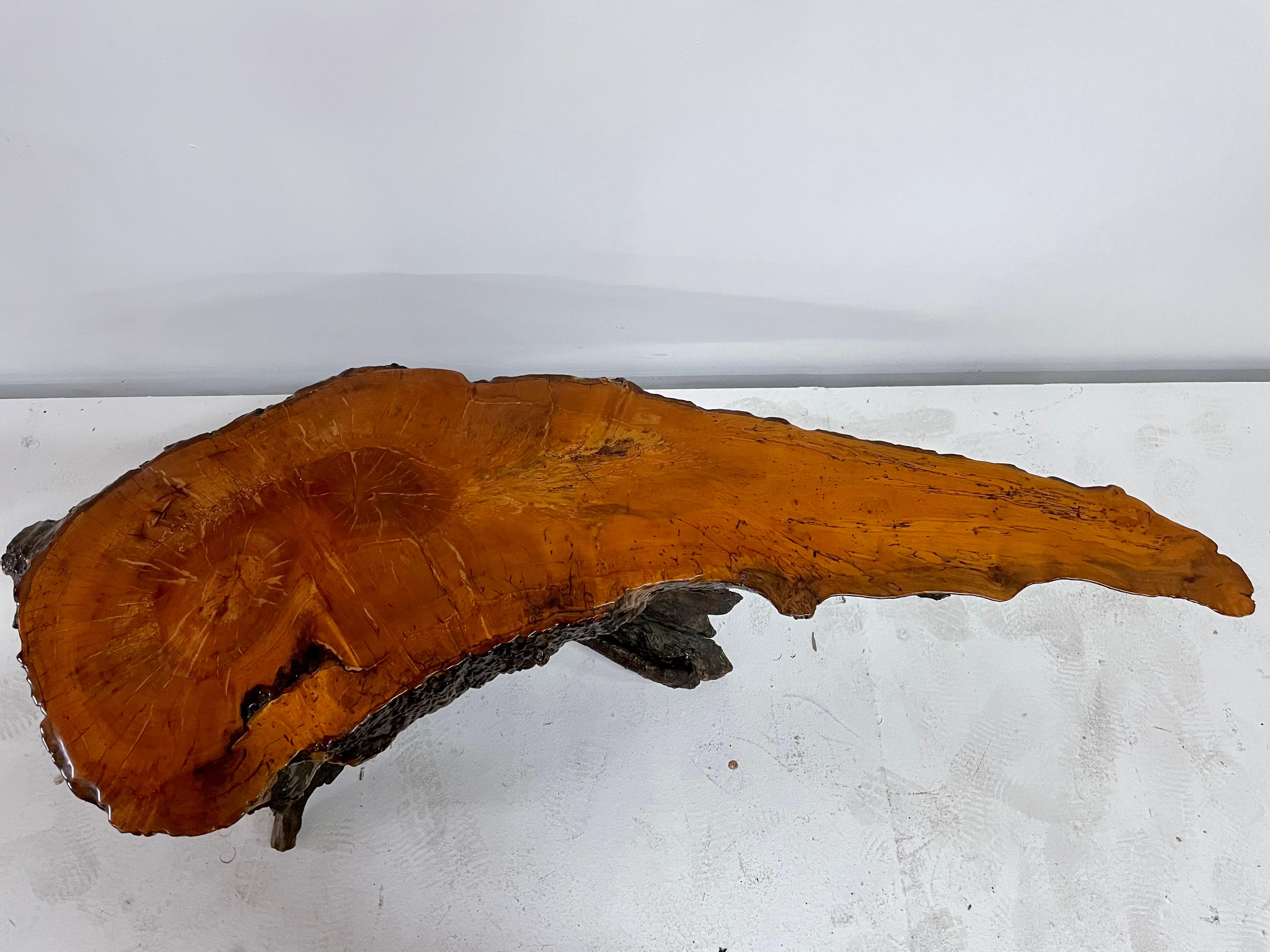 Table basse en bois de cyprès laqué organique à bord vif Bon état - En vente à East Hampton, NY
