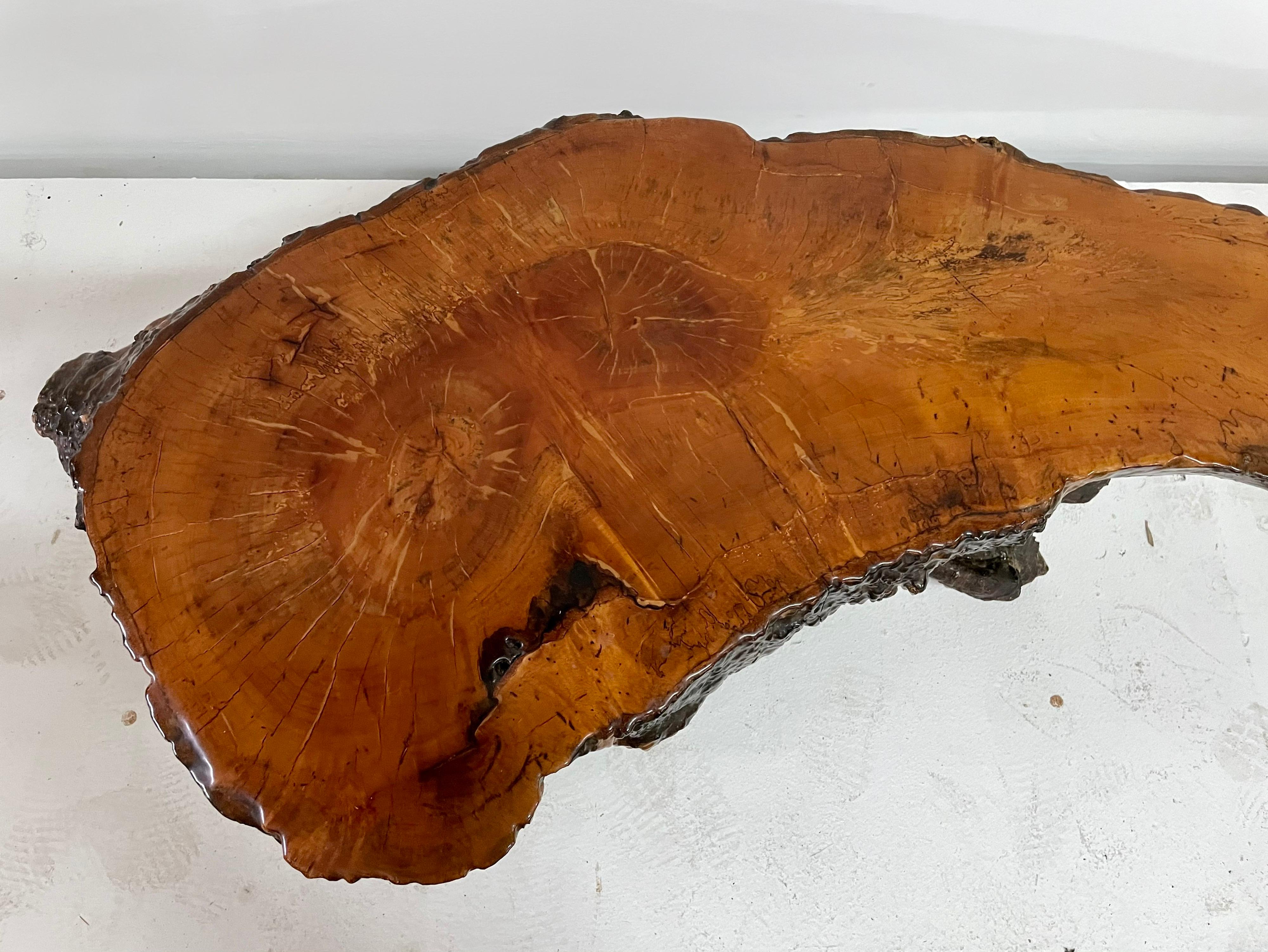 Mid-20th Century Organic Live Edge Lacquered Cypress Wood Coffee Table For Sale