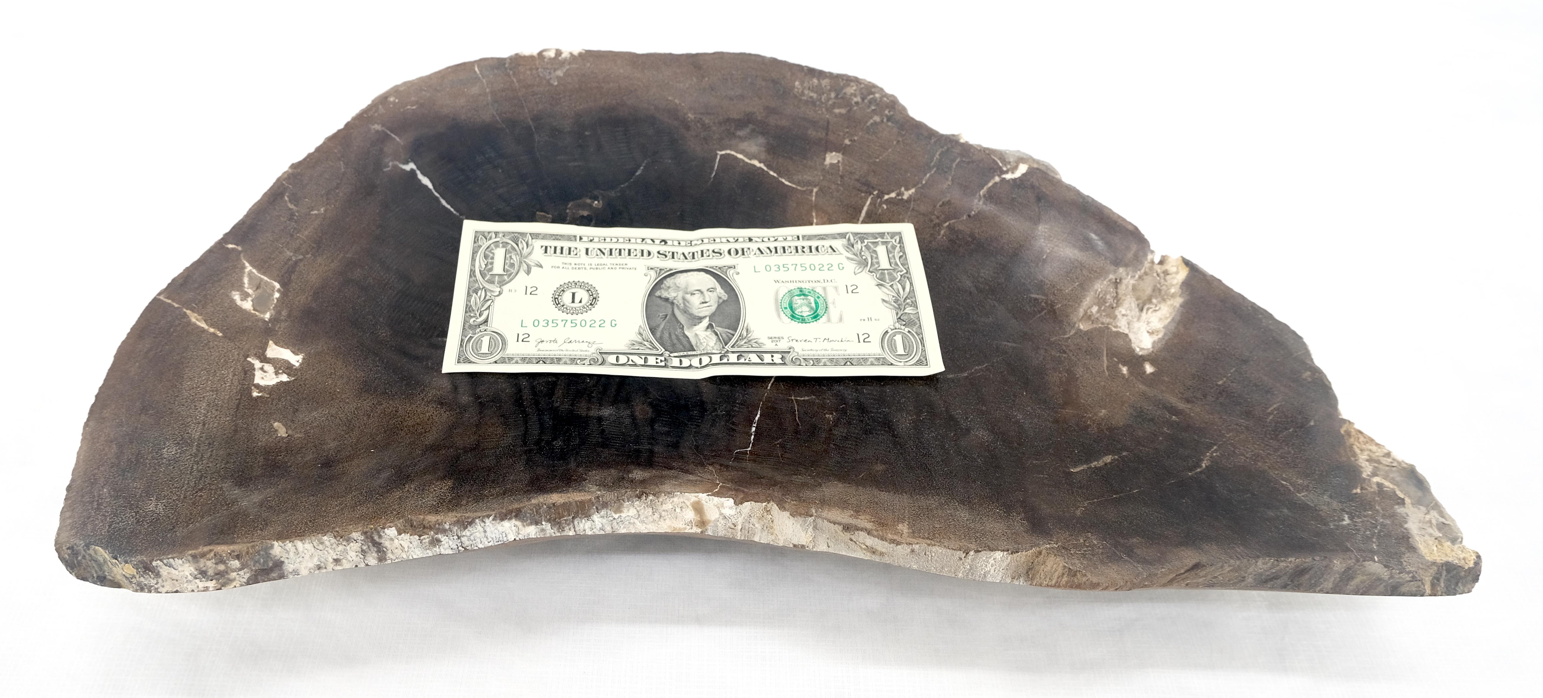 Organic Liver Shape Black & Tan Petrified Wood Tray Bowl Dish Plate Ashtray MINT For Sale 5