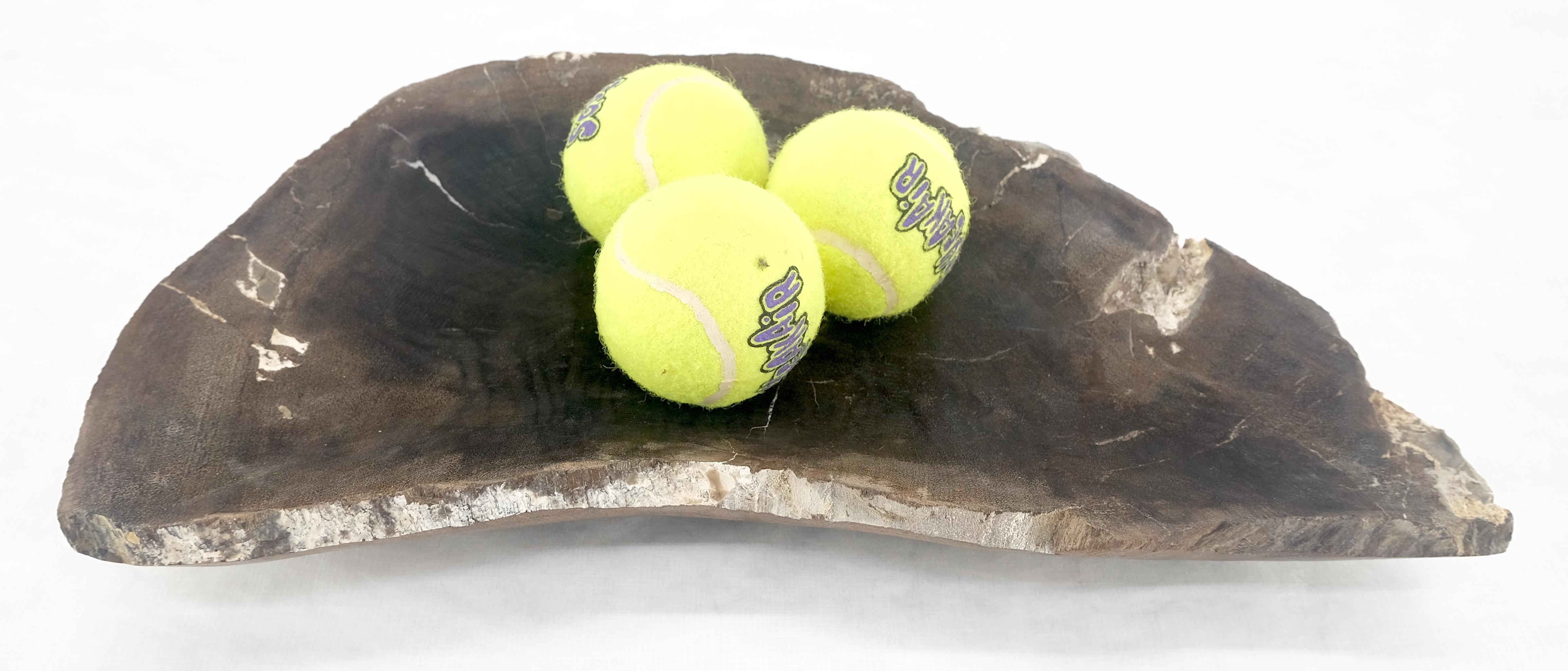 Contemporary Organic Liver Shape Black & Tan Petrified Wood Tray Bowl Dish Plate Ashtray MINT For Sale