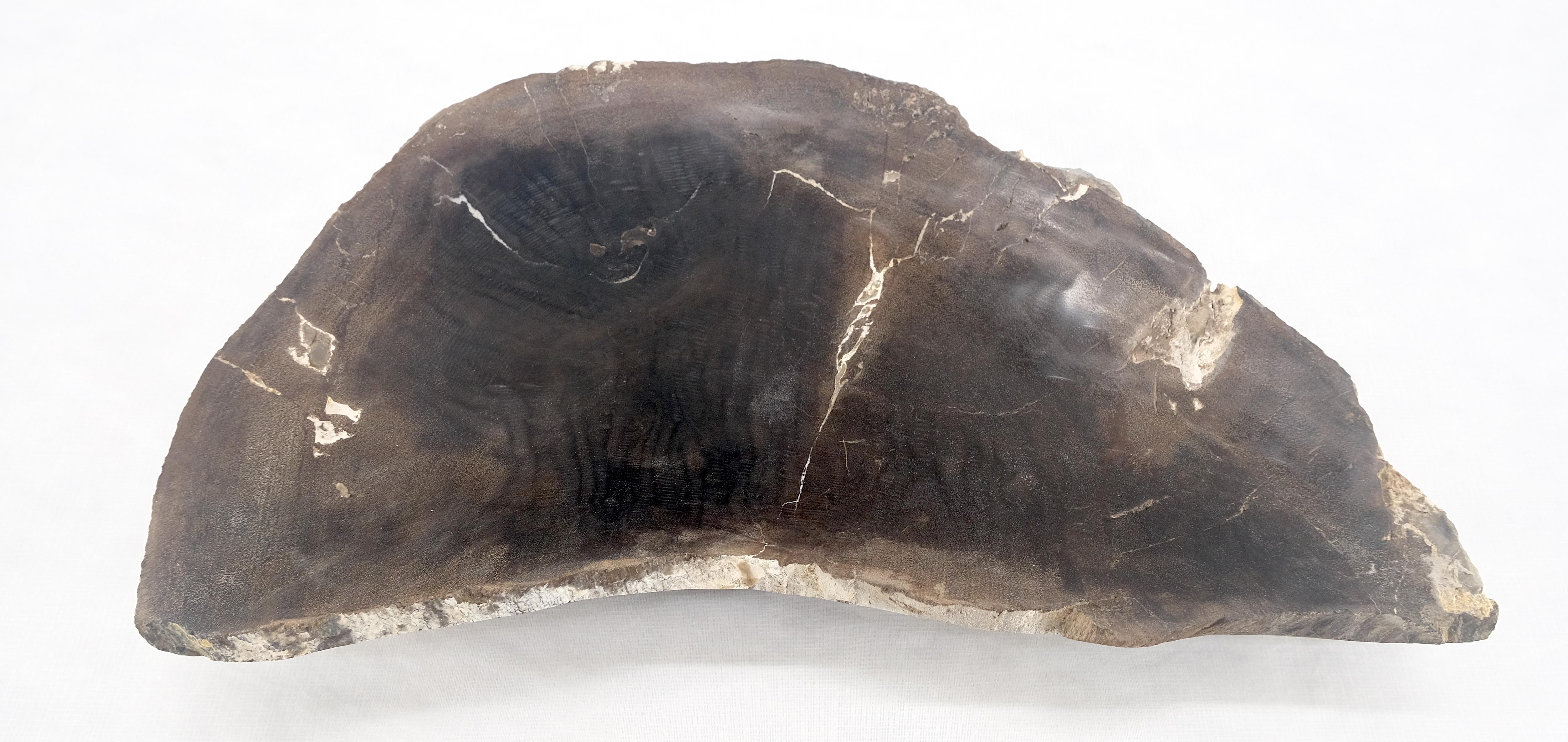 Organic Liver Shape Black & Tan Petrified Wood Tray Bowl Dish Plate Ashtray MINT For Sale 1