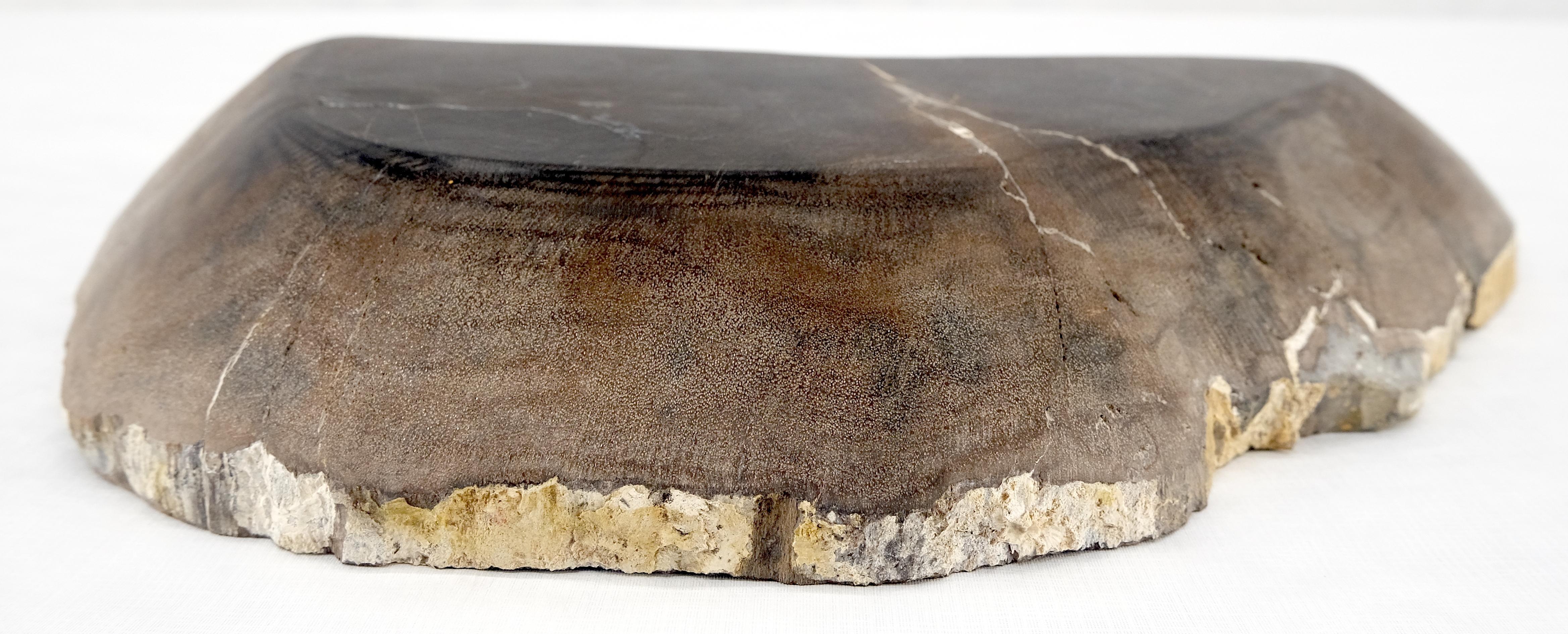 Organic Liver Shape Black & Tan Petrified Wood Tray Bowl Dish Plate Ashtray MINT For Sale 2