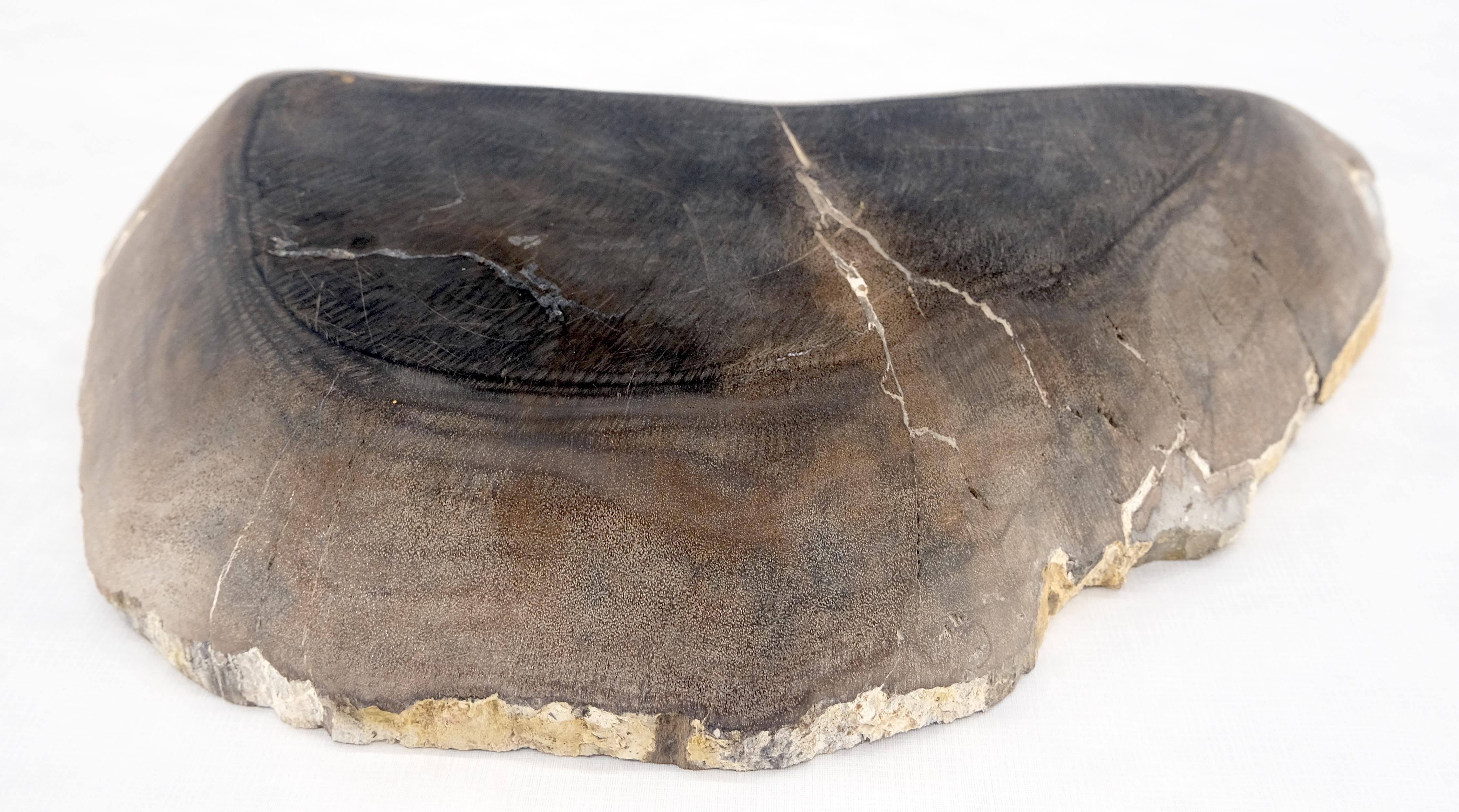 Organic Liver Shape Black & Tan Petrified Wood Tray Bowl Dish Plate Ashtray MINT For Sale 3