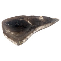 Organic Liver Shape Black & Tan Petrified Wood Tray Bowl Dish Plate Ashtray MINT