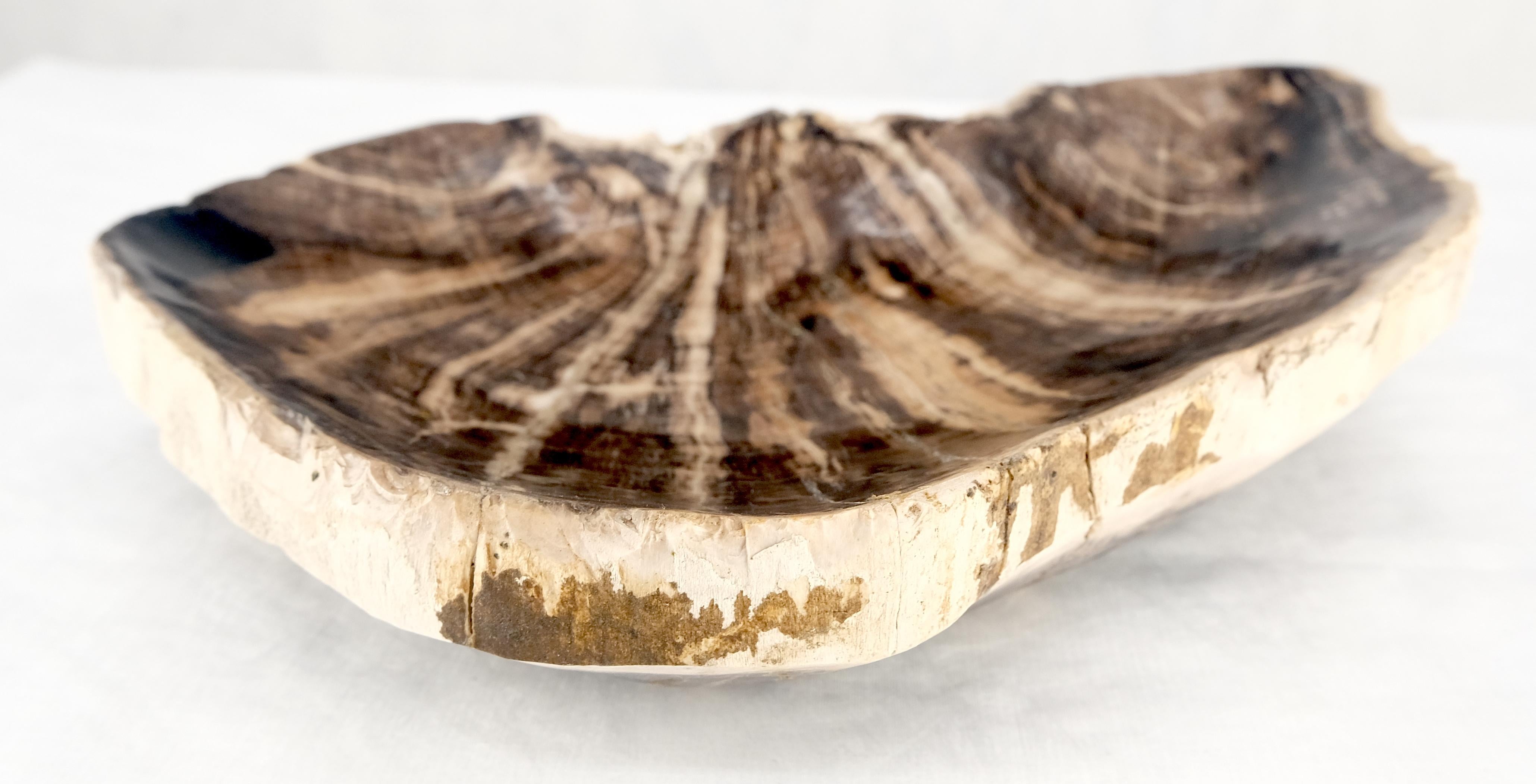  Organic Liver Shape Black & Tan Petrified Wood Tray Bowl Dish Plate Ashtray
