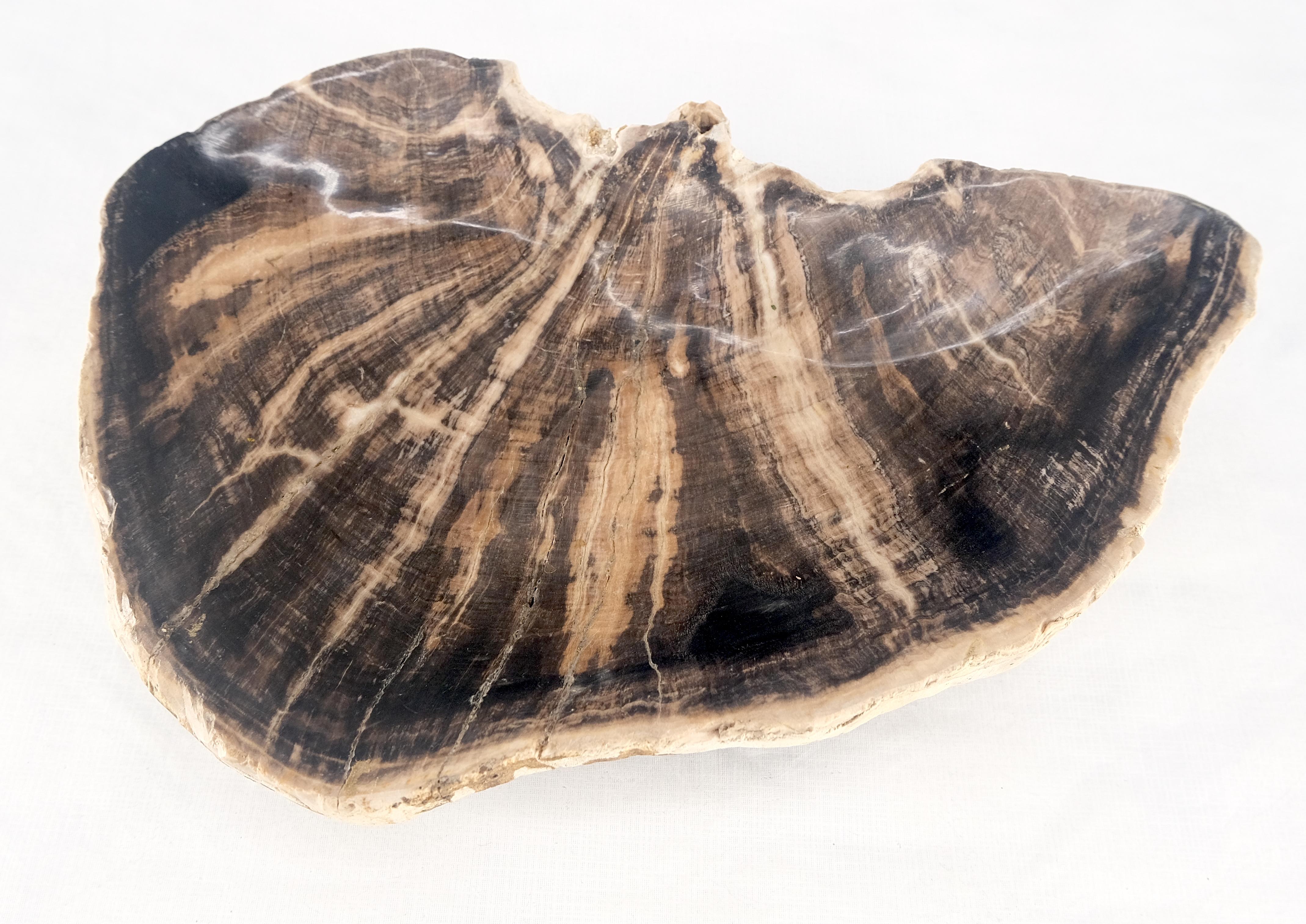 Organic Liver Shape Black & Tan Petrified Wood Tray Bowl Dish Plate Ashtray In Excellent Condition For Sale In Rockaway, NJ