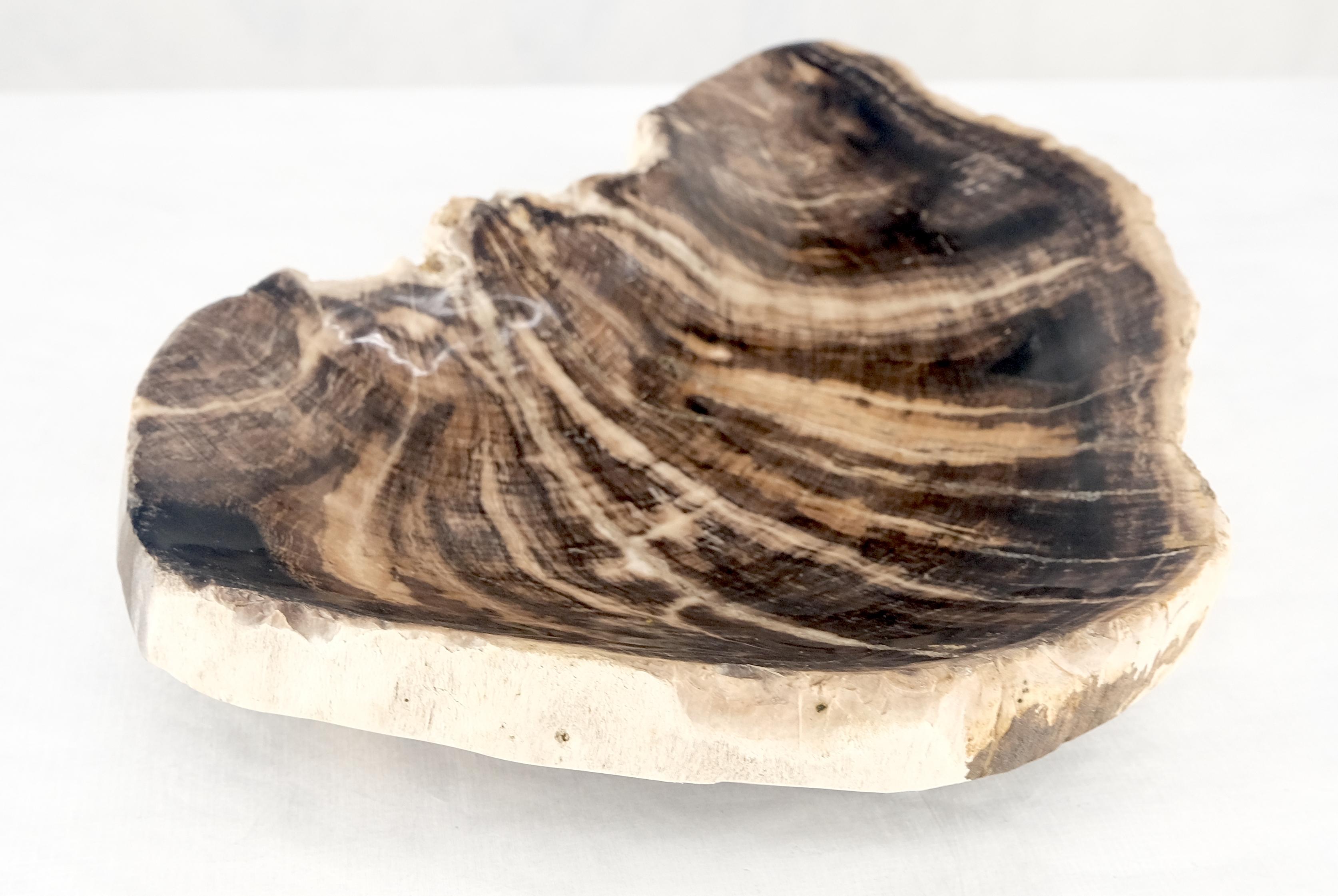 Organic Liver Shape Black & Tan Petrified Wood Tray Bowl Dish Plate Ashtray For Sale 1