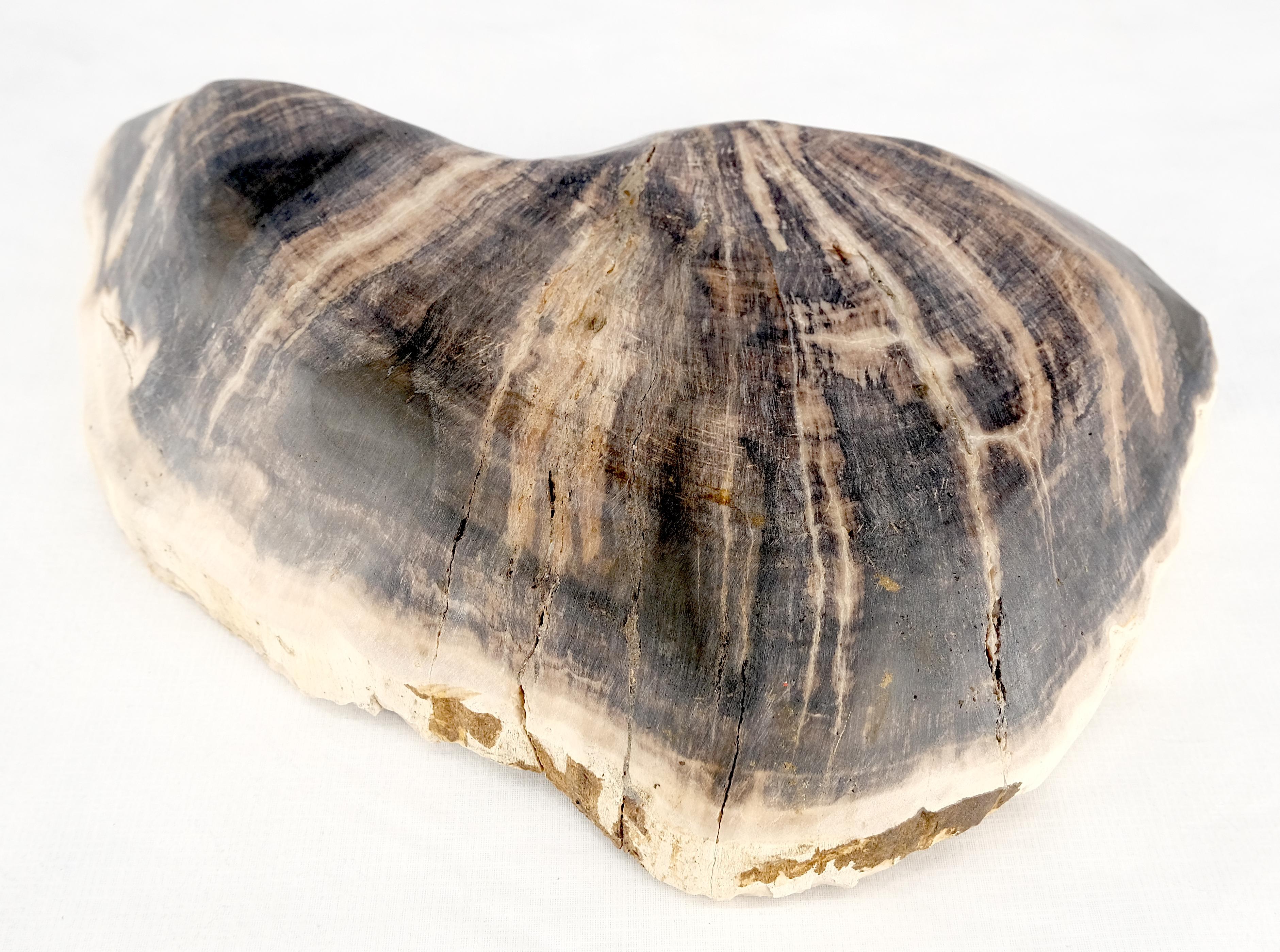 Organic Liver Shape Black & Tan Petrified Wood Tray Bowl Dish Plate Ashtray For Sale 3