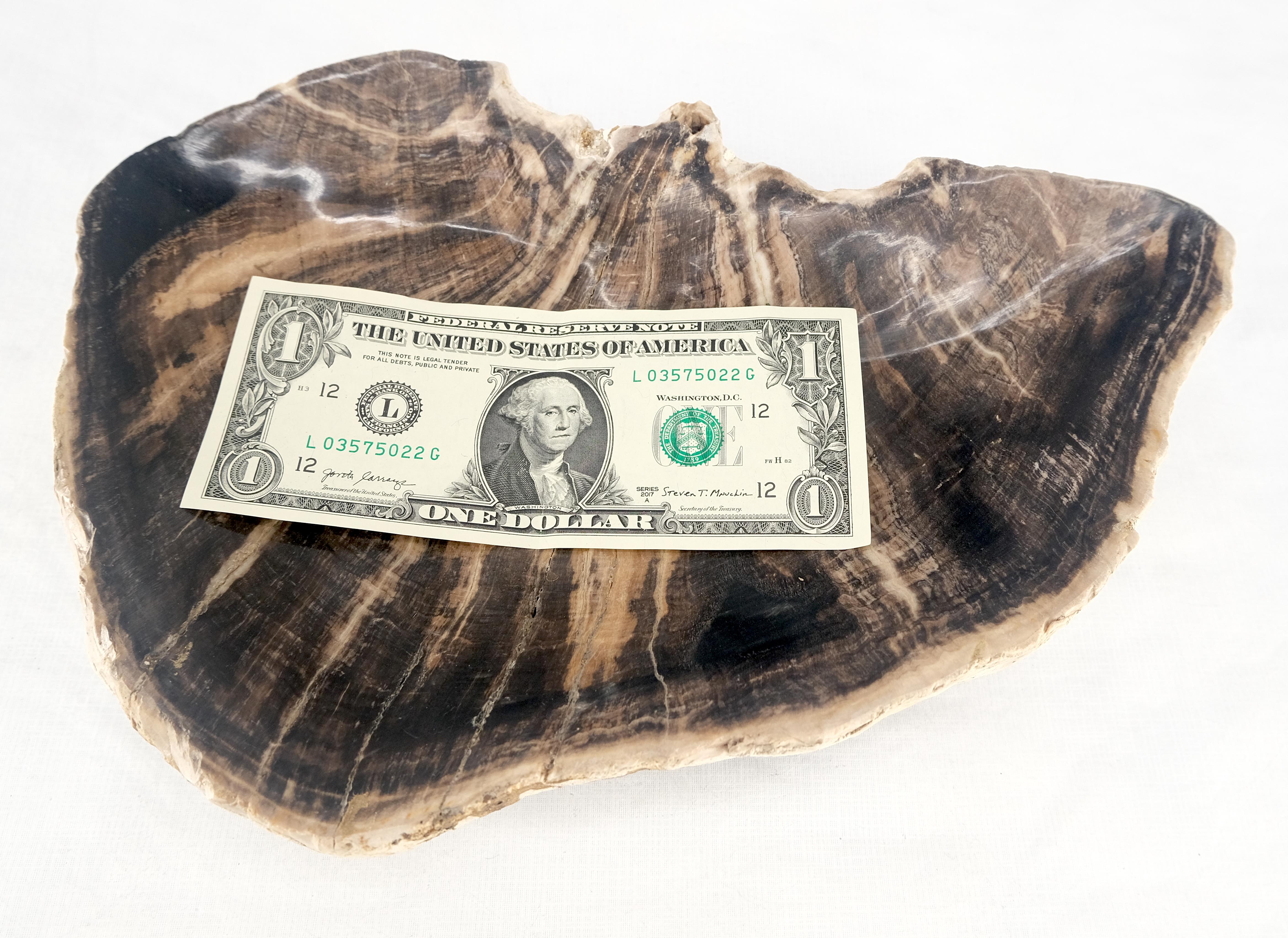 Organic Liver Shape Black & Tan Petrified Wood Tray Bowl Dish Plate Ashtray For Sale 4