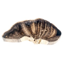 Organic Liver Shape Black & Tan Petrified Wood Tray Bowl Dish Plate Ashtray