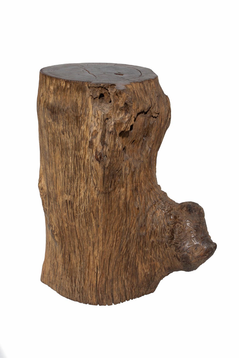 Organic Lychee Wood Stump Side Table at 1stDibs