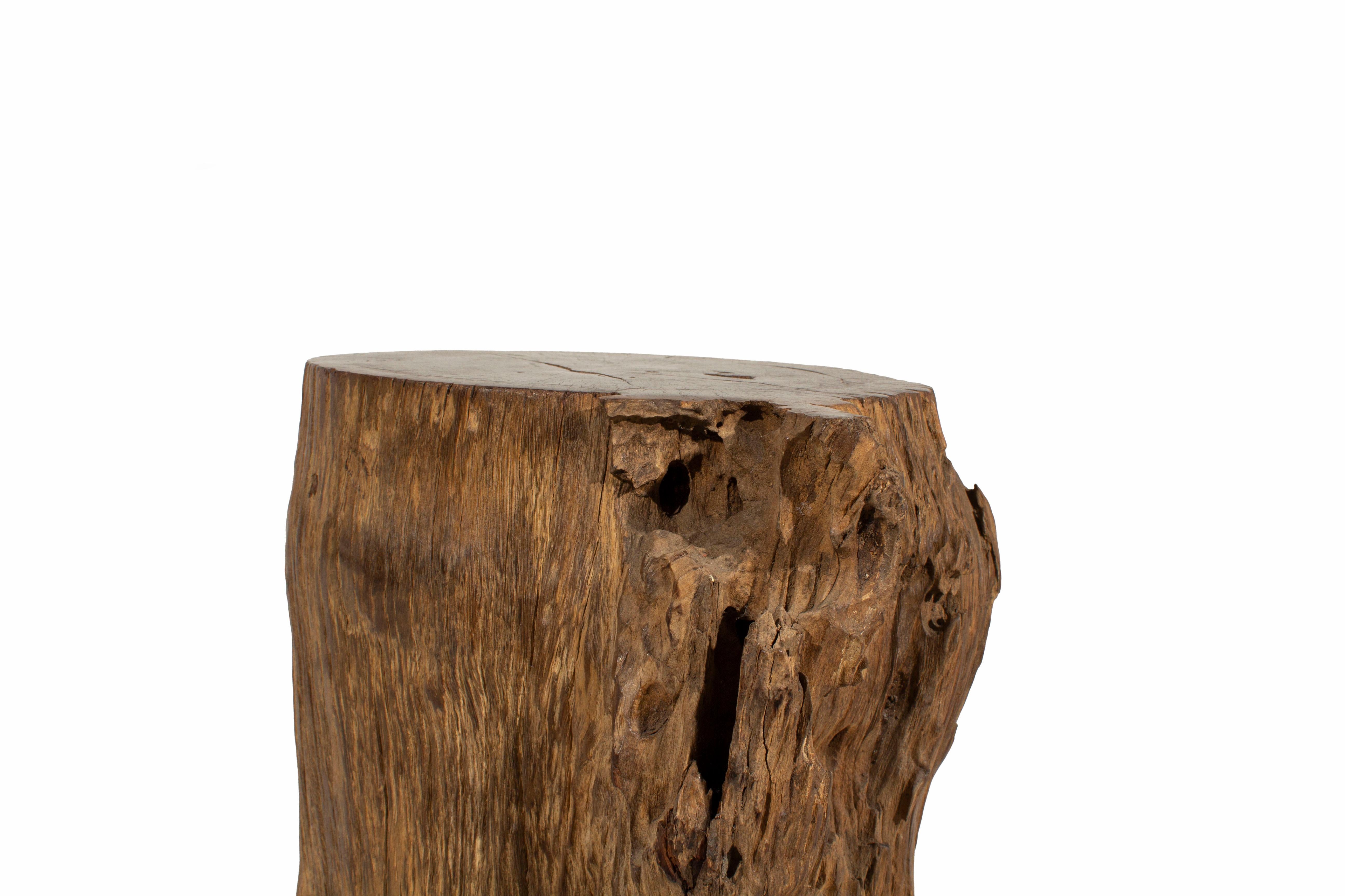 Organic Modern Organic Lychee Wood Stump Side Table