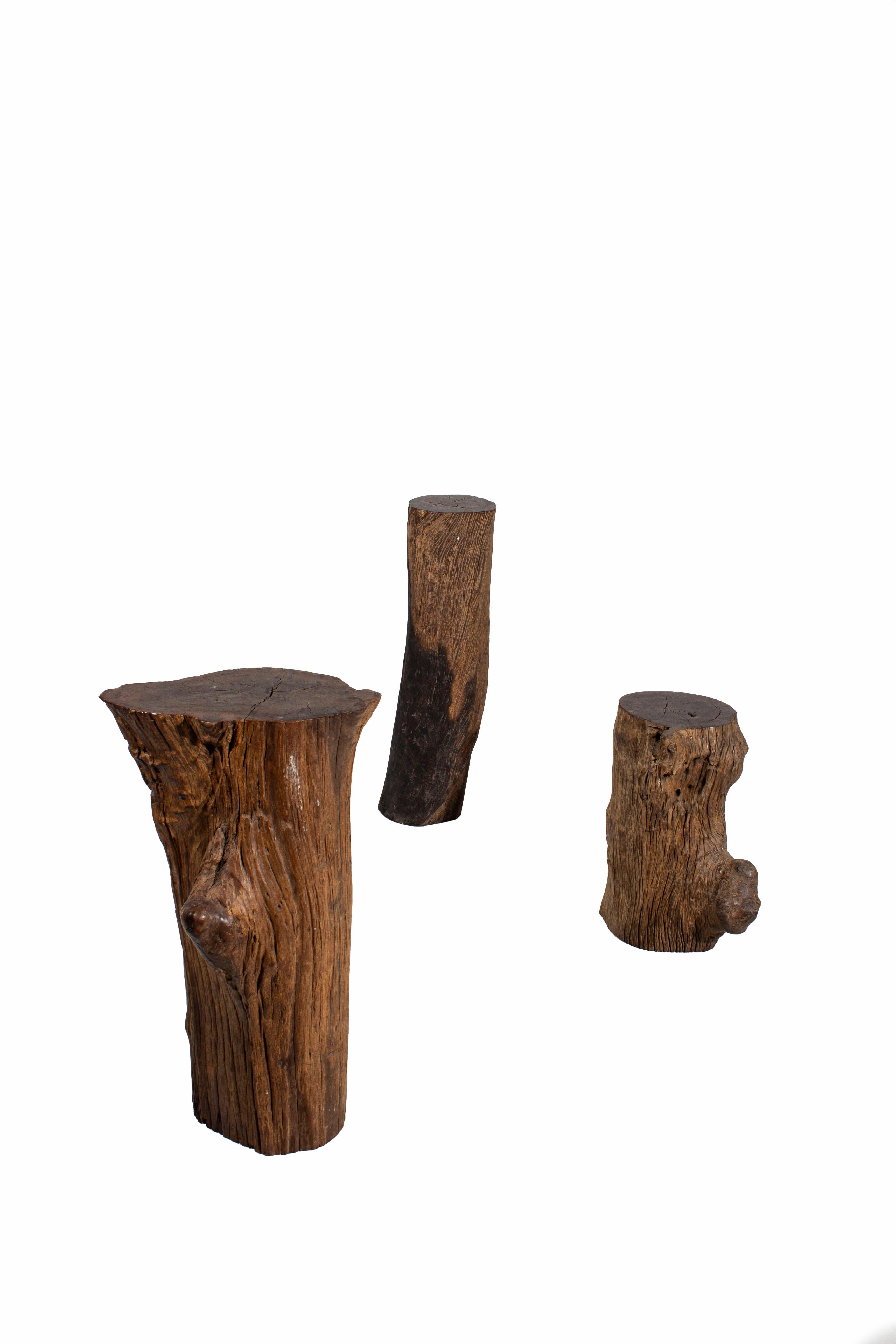 Organic Lychee Wood Stump Side Table In Good Condition For Sale In Dallas, TX