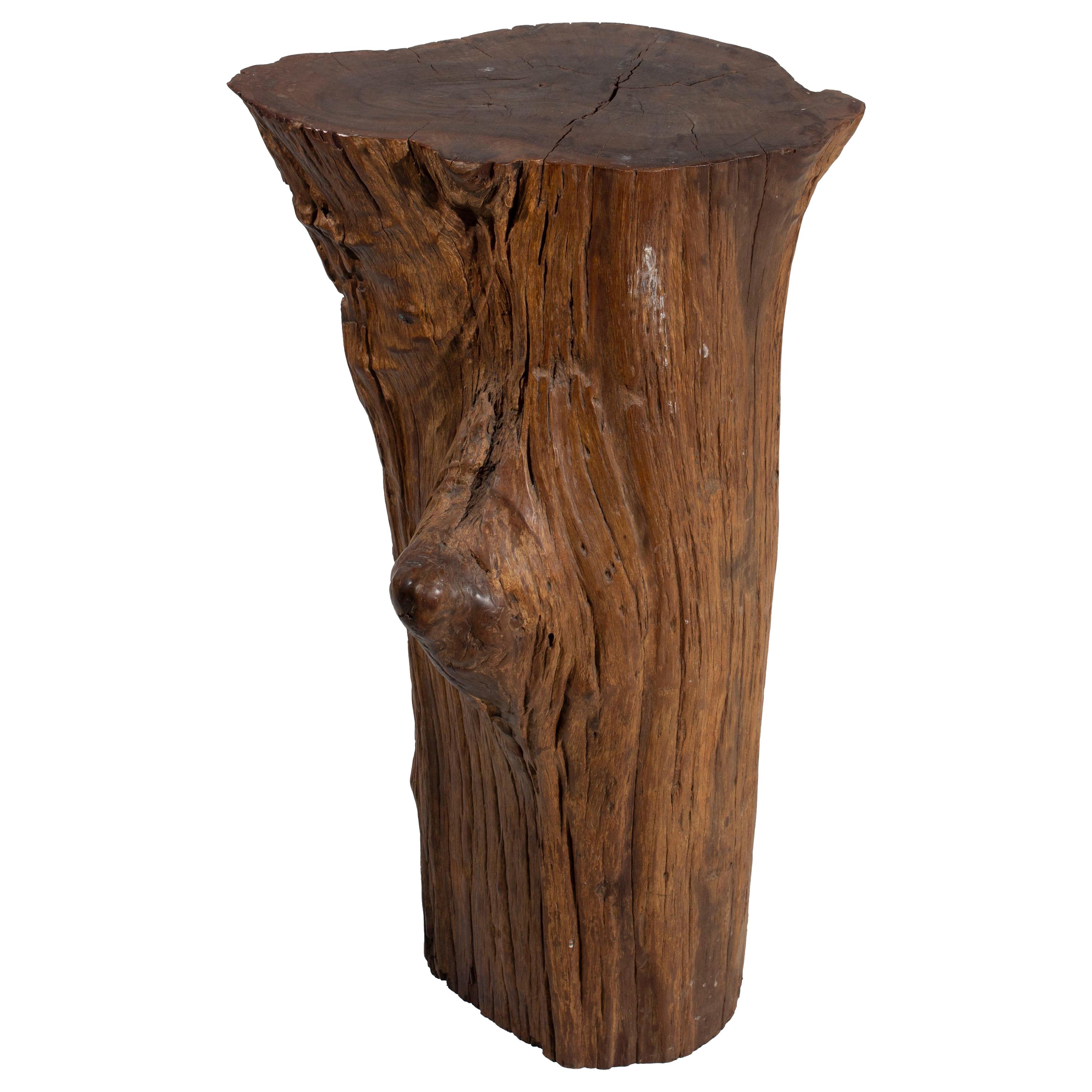 Elm Wood Slice Stump Side Table with Legs For Sale at 1stDibs