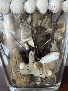 Organic Marine Sea Shells, Sponges, Sea Whip , Horseshoe Assemblage