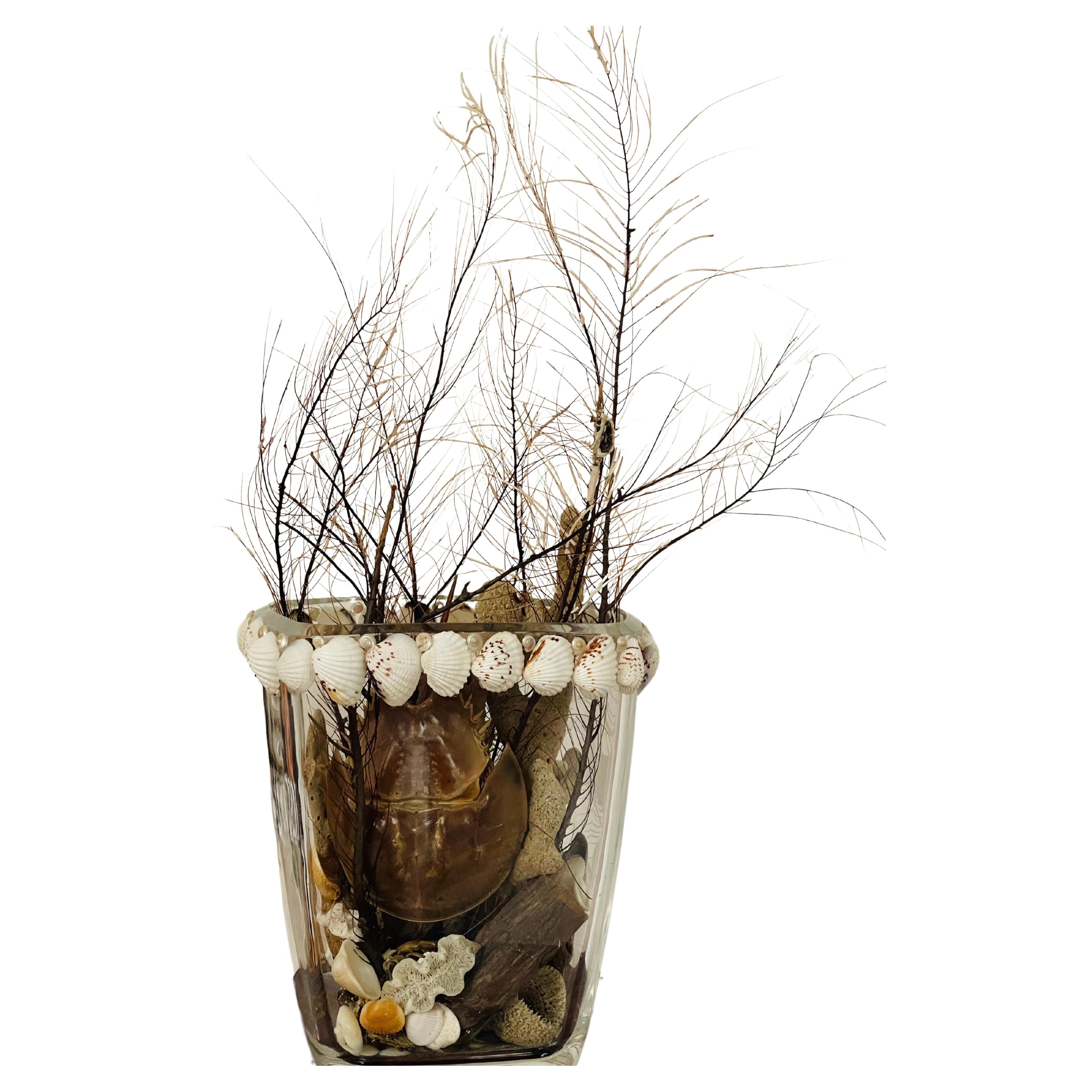 Organic Marine Sea Shells, Sponges, Sea Whip , Horseshoe Assemblage en venta