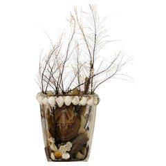 Organic Marine Sea Shells, Sponges, Sea Whip , Horseshoe Assemblage