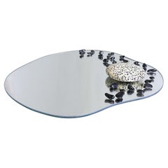 Organic mirrored tray