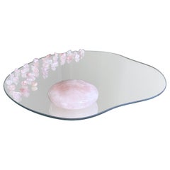 Organic mirrored tray