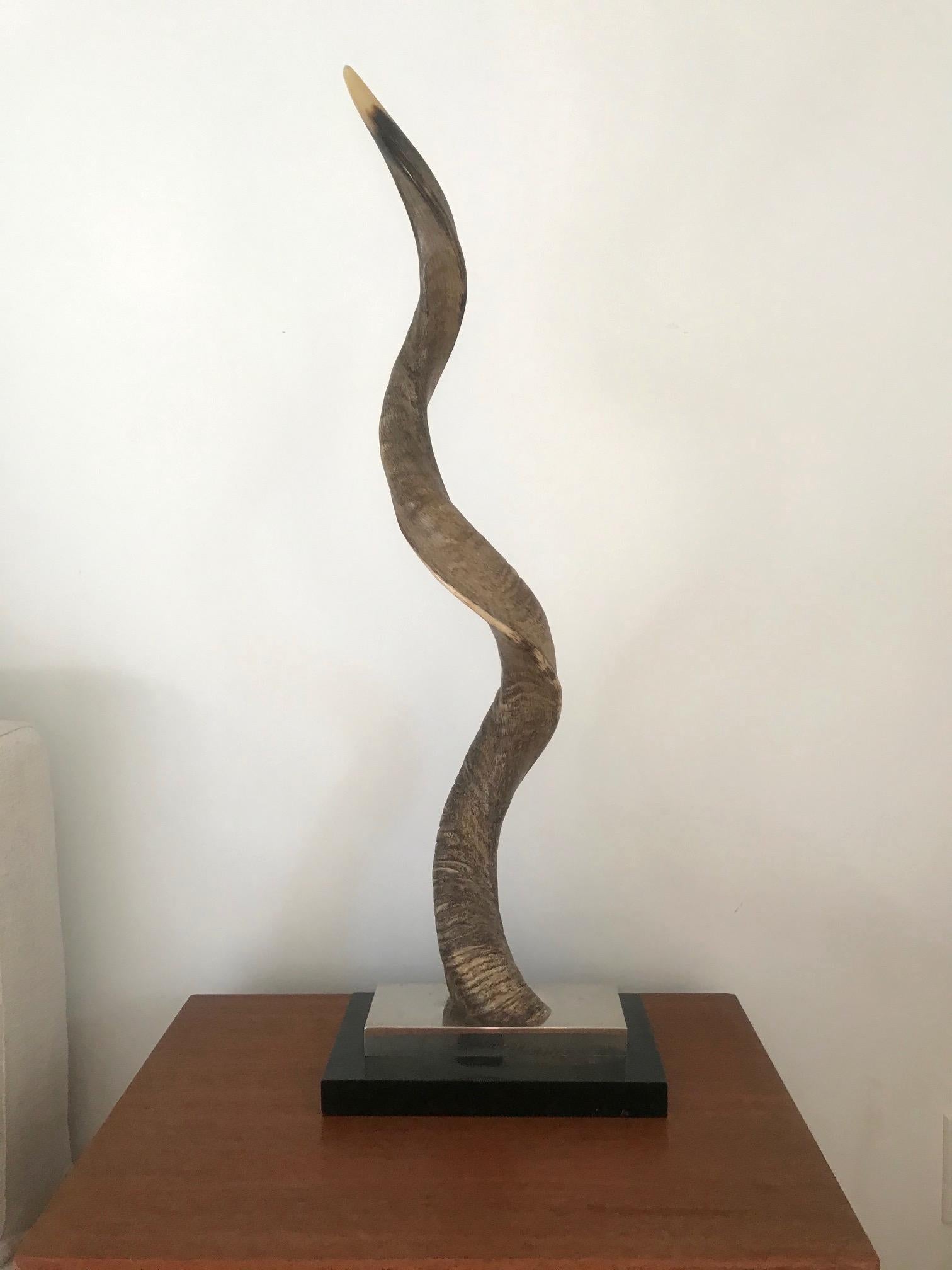 Lacquered Organic Modern African Kudu Horn Sculpture Mounted on Stand, Vintage, 1980s