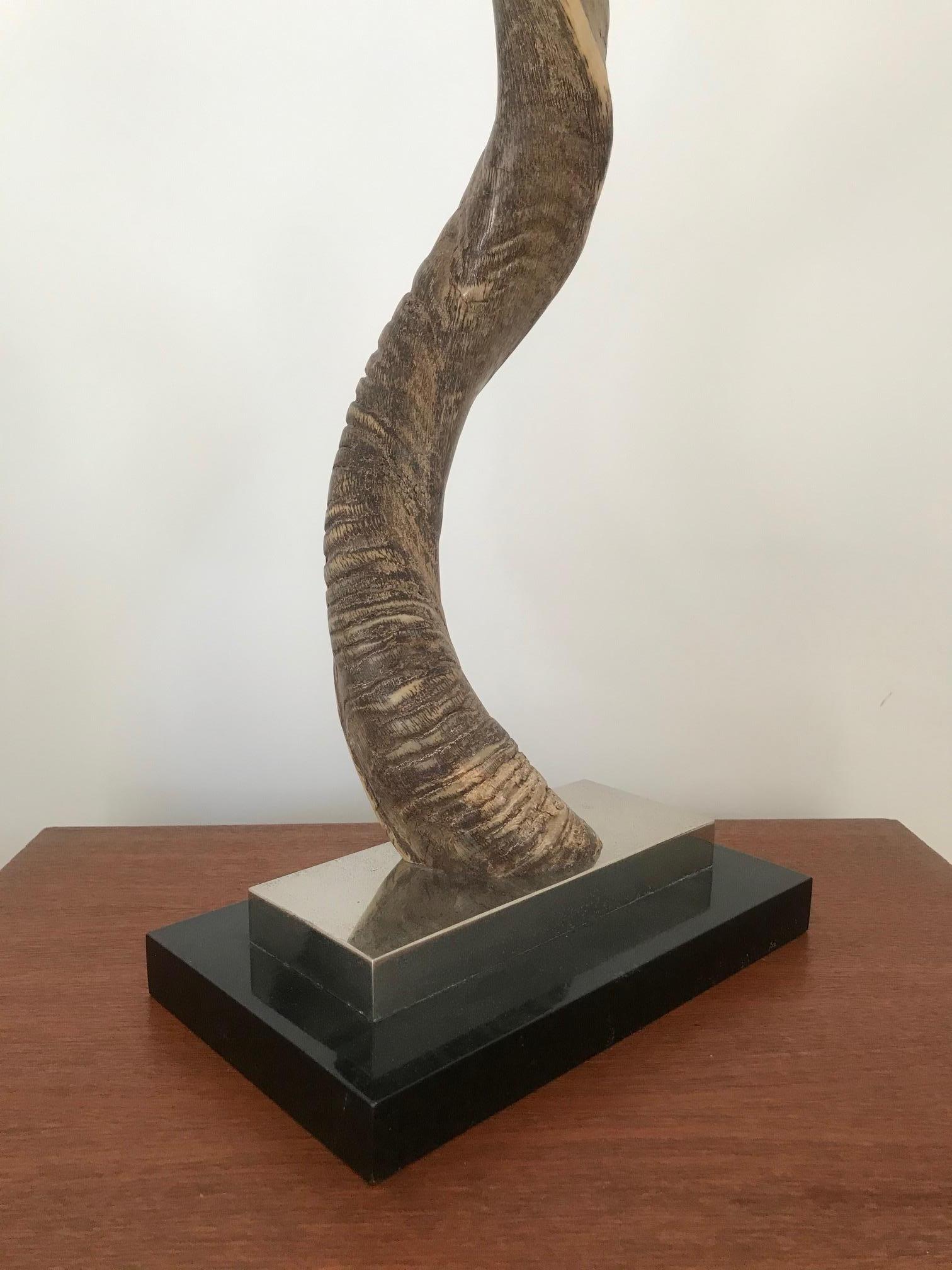 Late 20th Century Organic Modern African Kudu Horn Sculpture Mounted on Stand, Vintage, 1980s