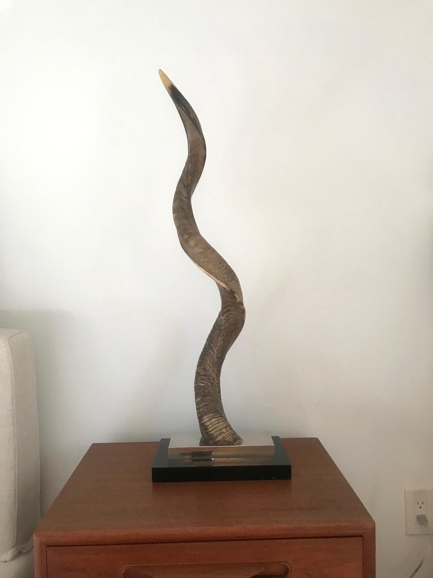 Wood Organic Modern African Kudu Horn Sculpture Mounted on Stand, Vintage, 1980s